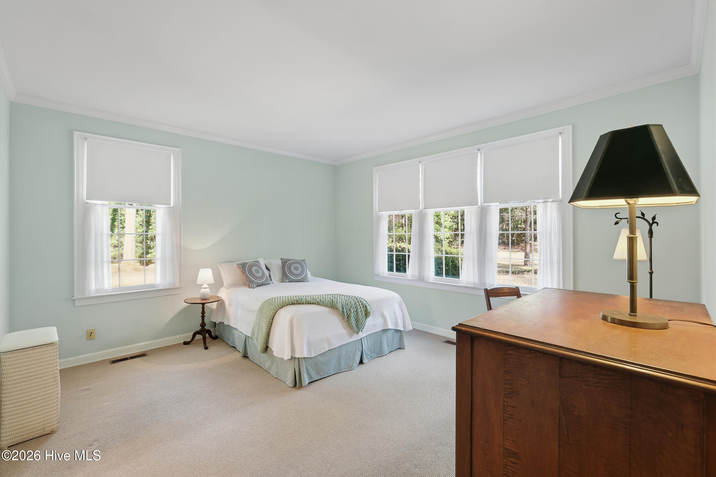 100554424 | Photo 19