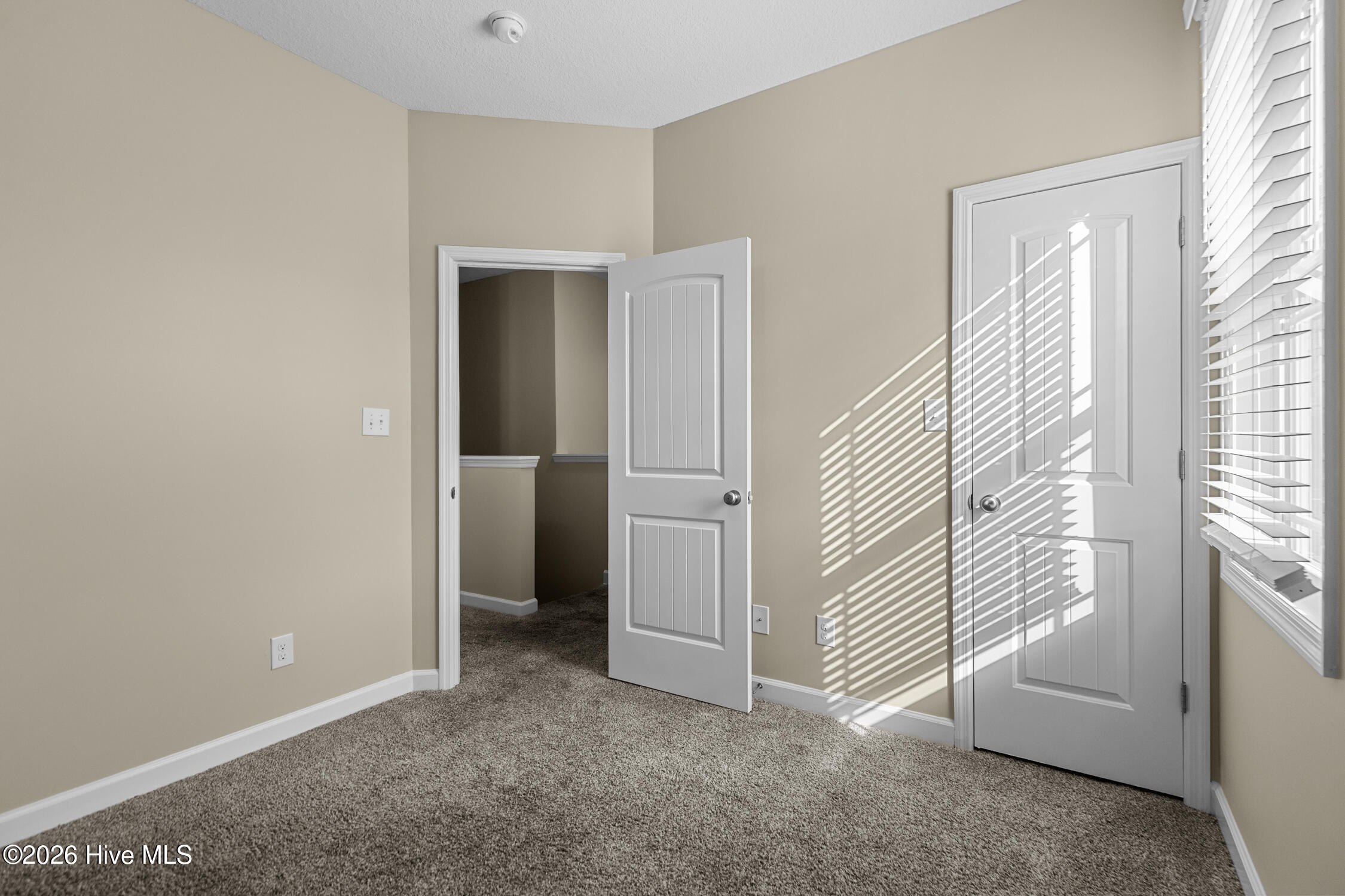 100548143 | Photo 29