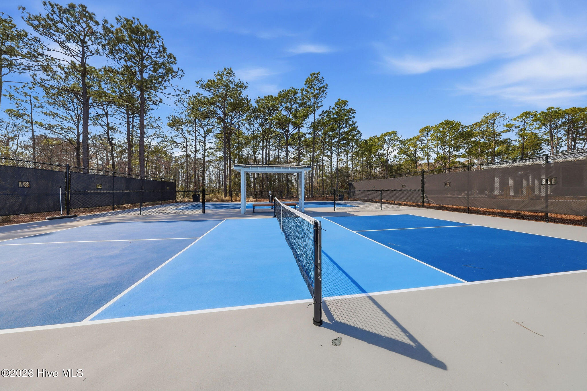 100558472 | Photo 65