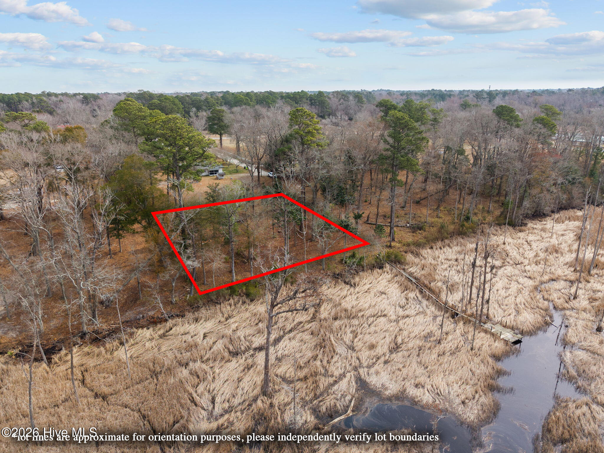 100557374 | Photo 13