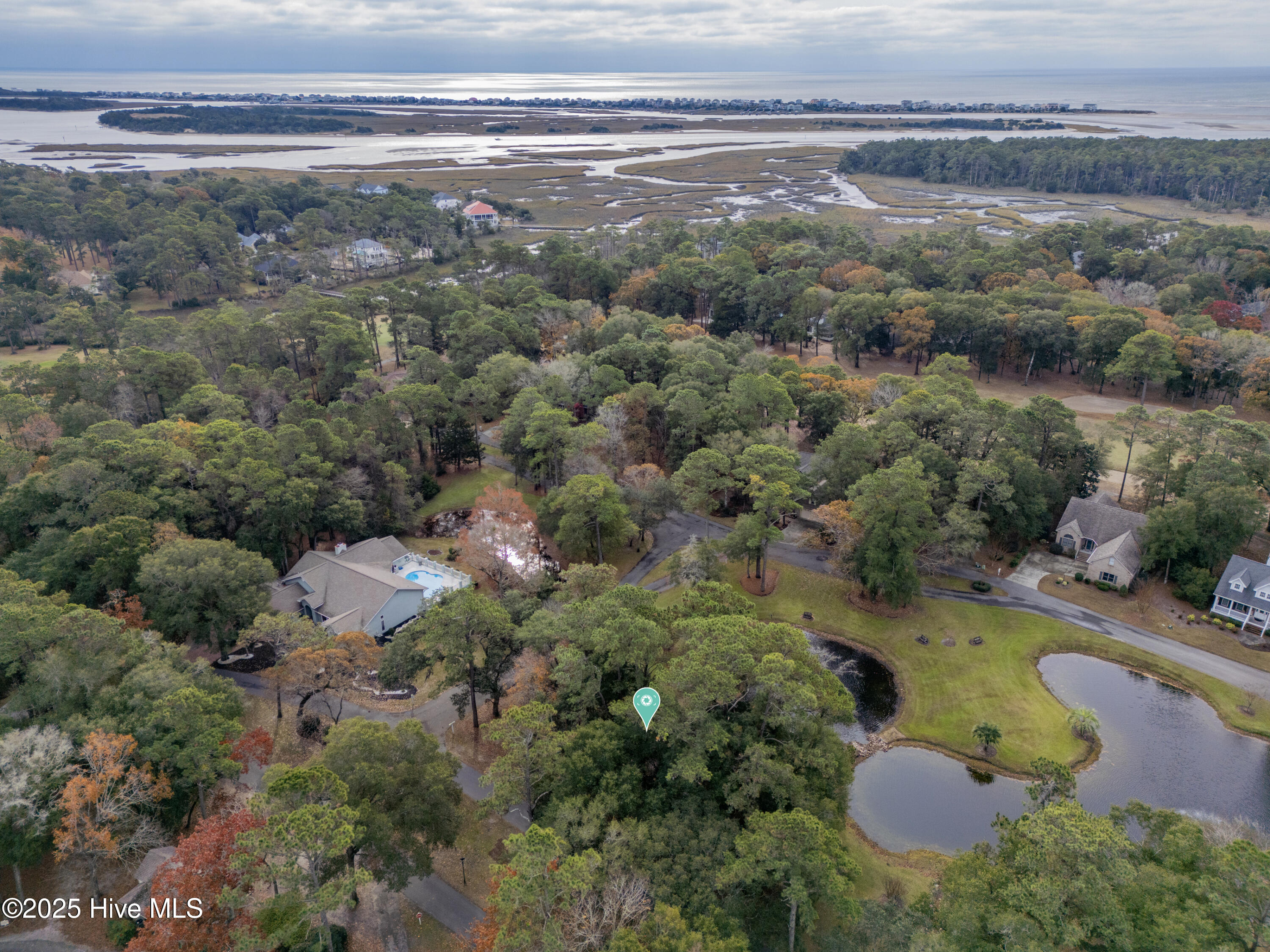 100542577 | Photo 13