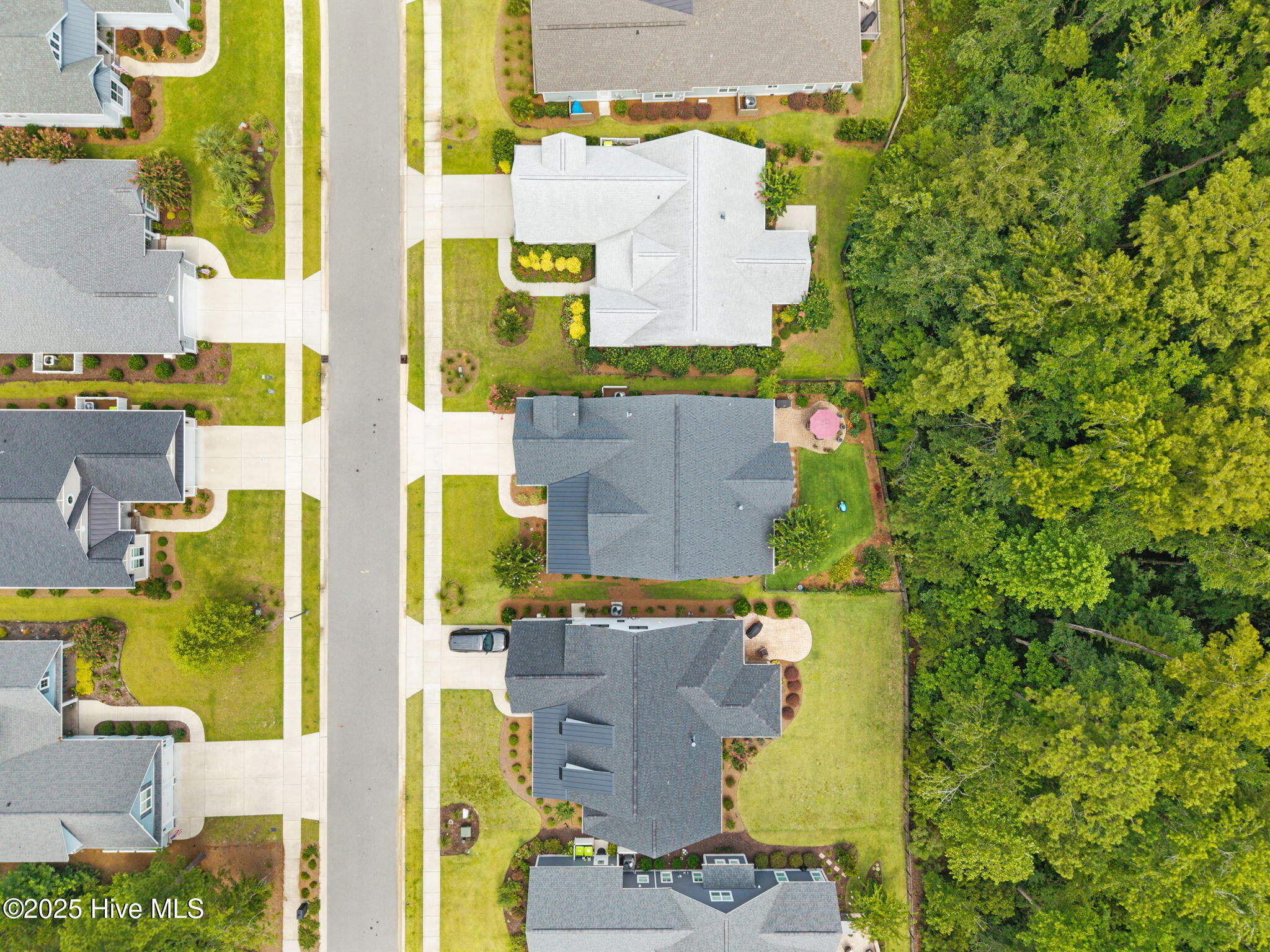 100529487 | Photo 42