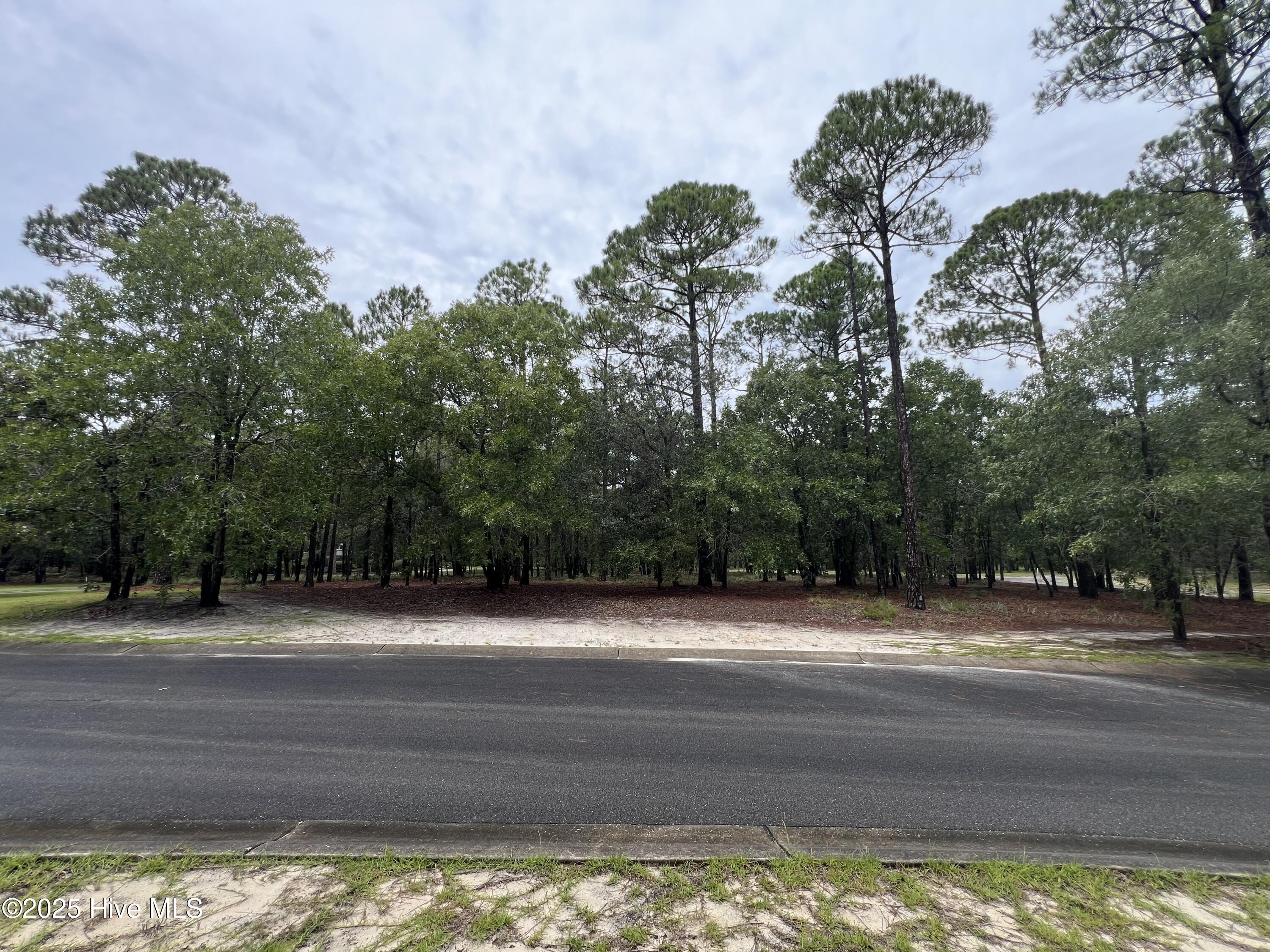 100527062 | Photo 21