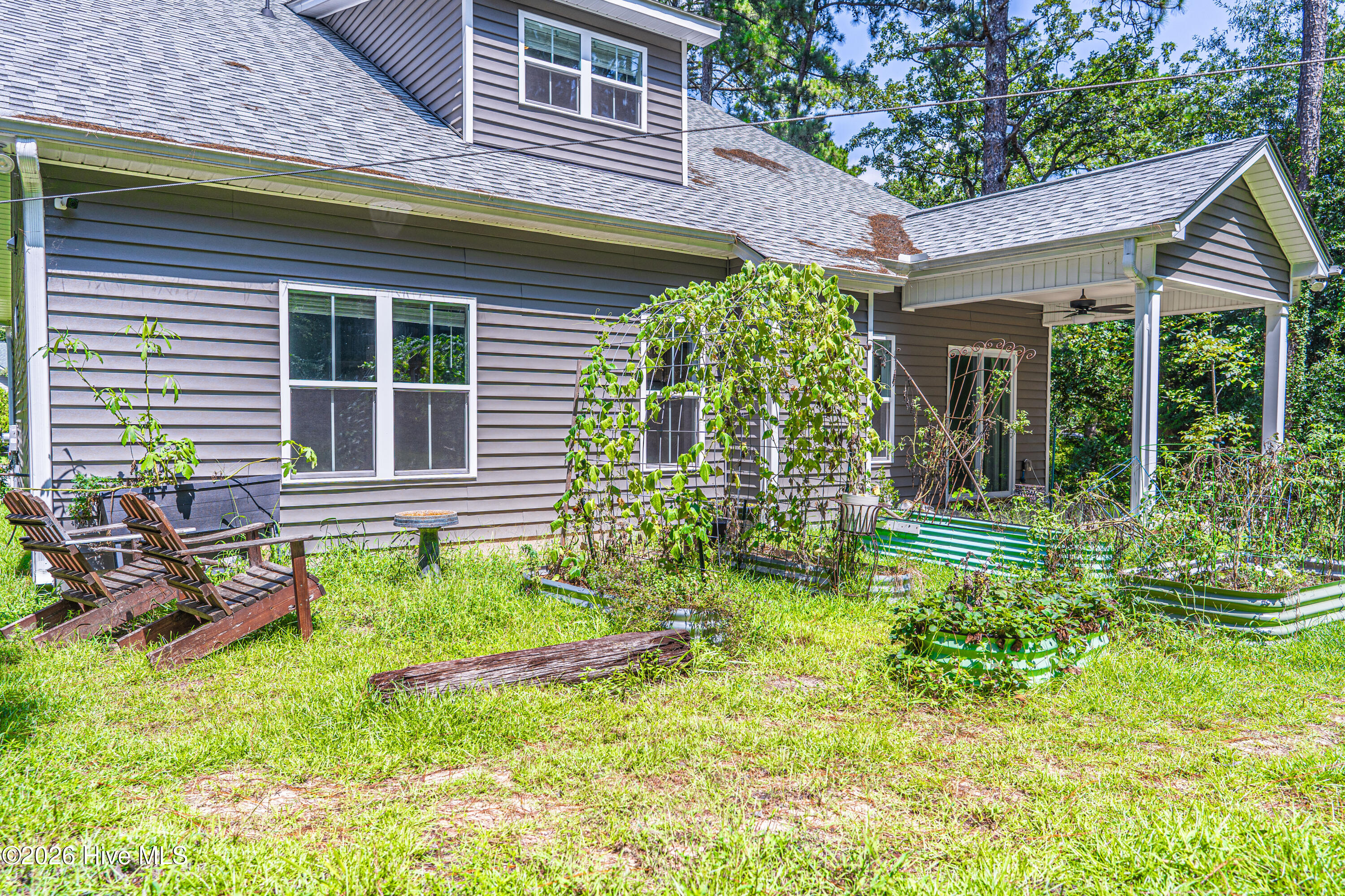 Back yard/garden