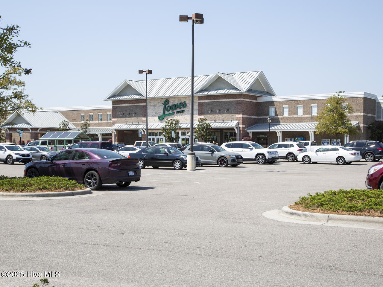 100490842 | Photo 46