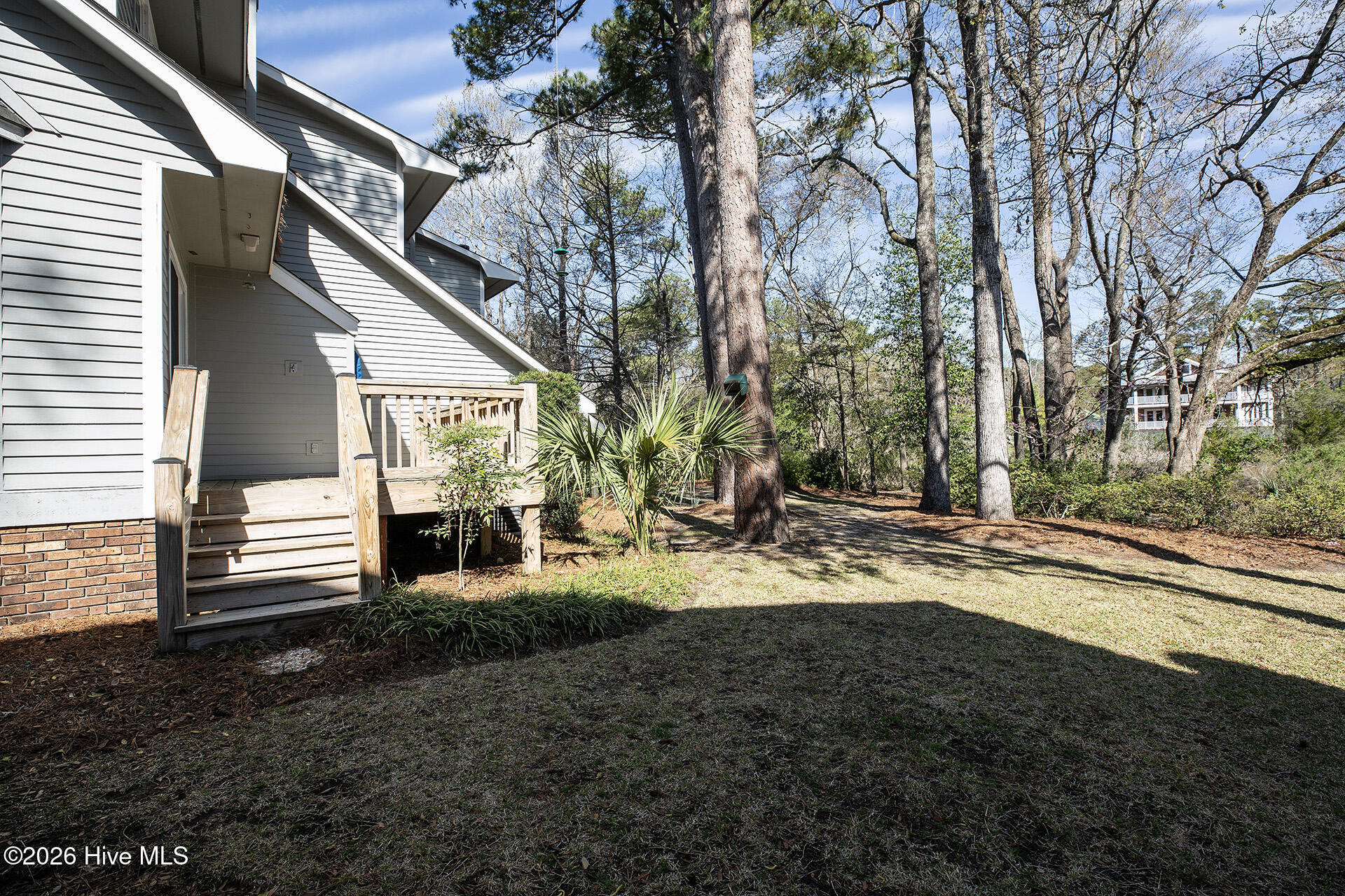 100561639 | Photo 38