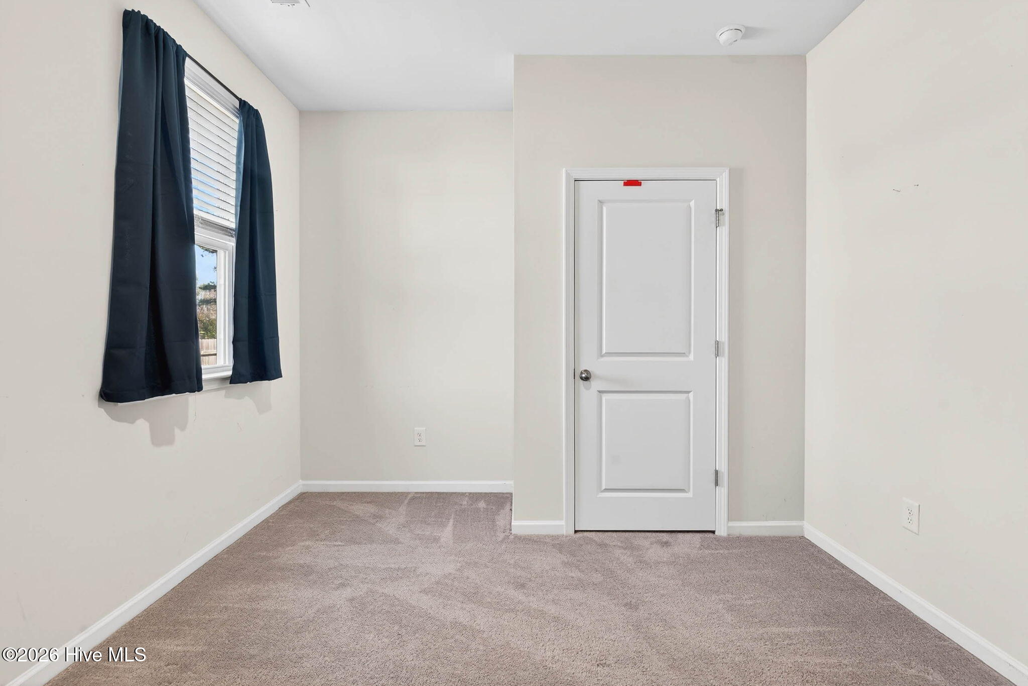 100564193 | Photo 20