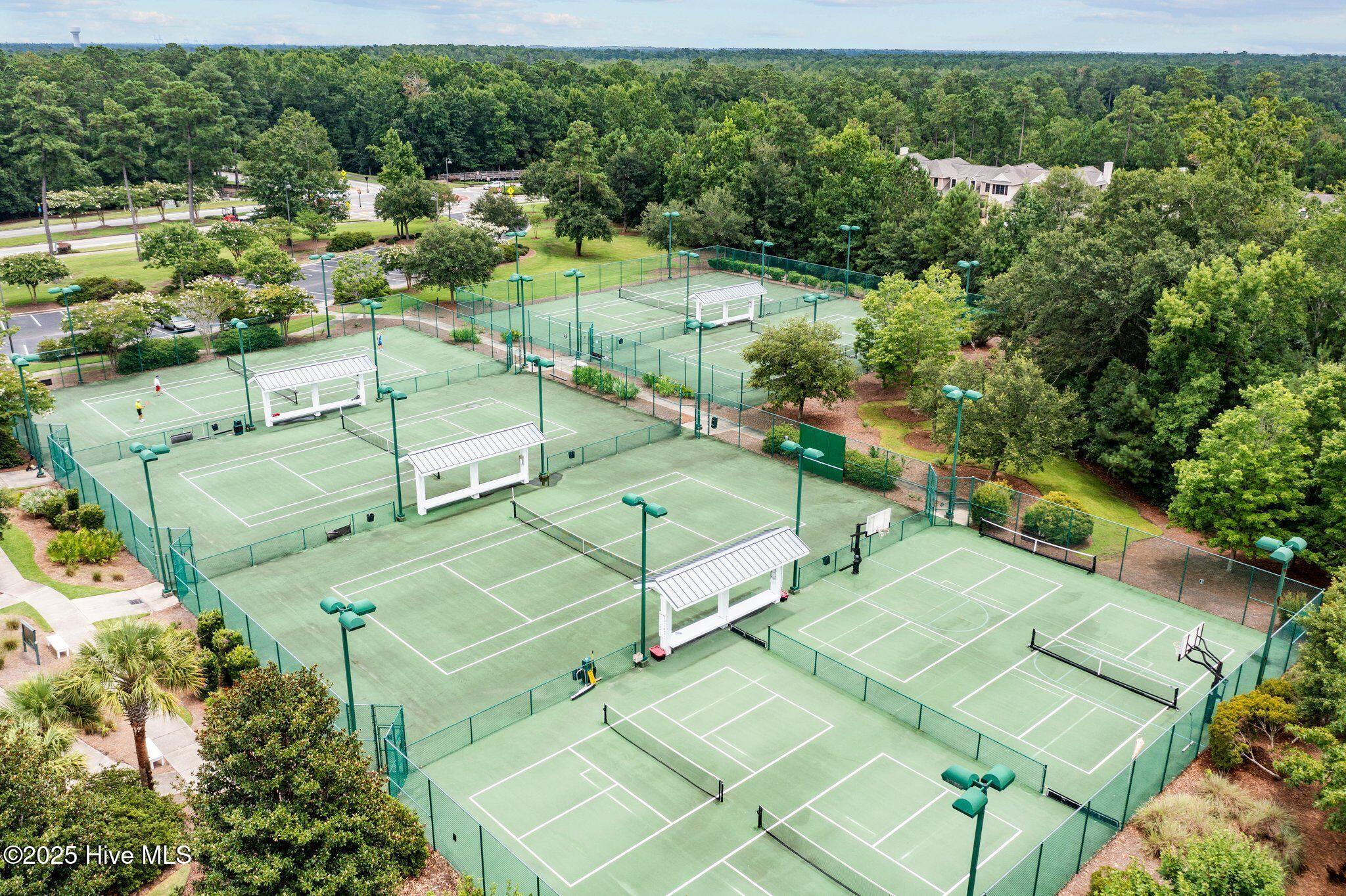 100538493 | Photo 50