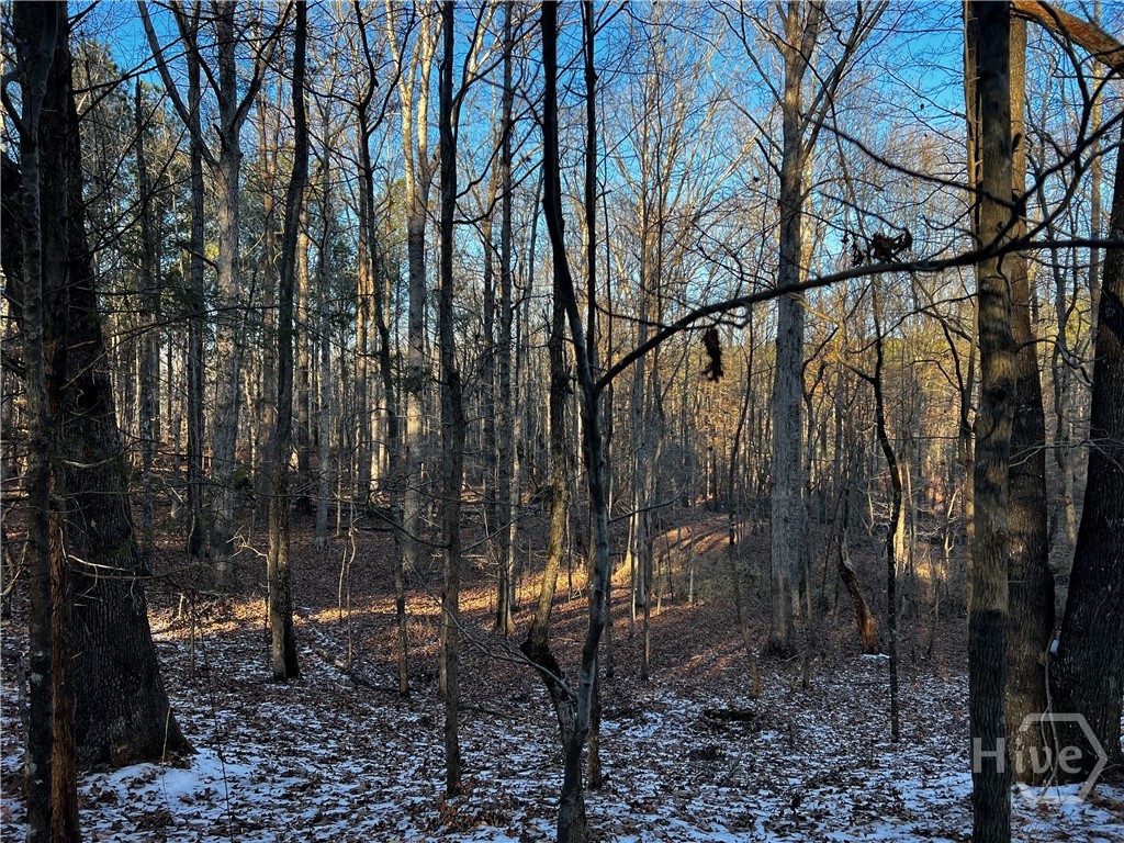 2285 Cherokee Road, Comer, GA, 30629