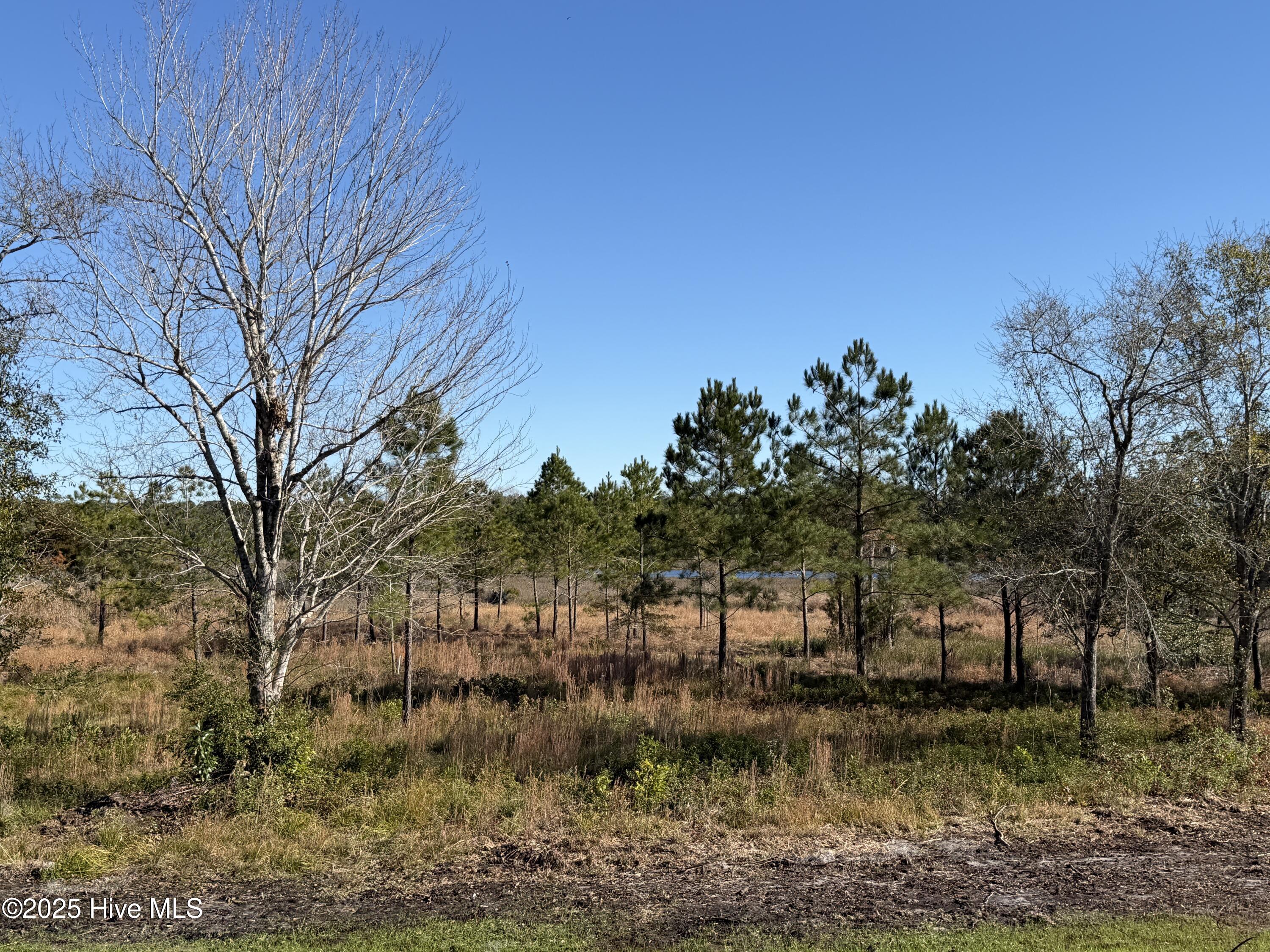 100500260 | Photo 33