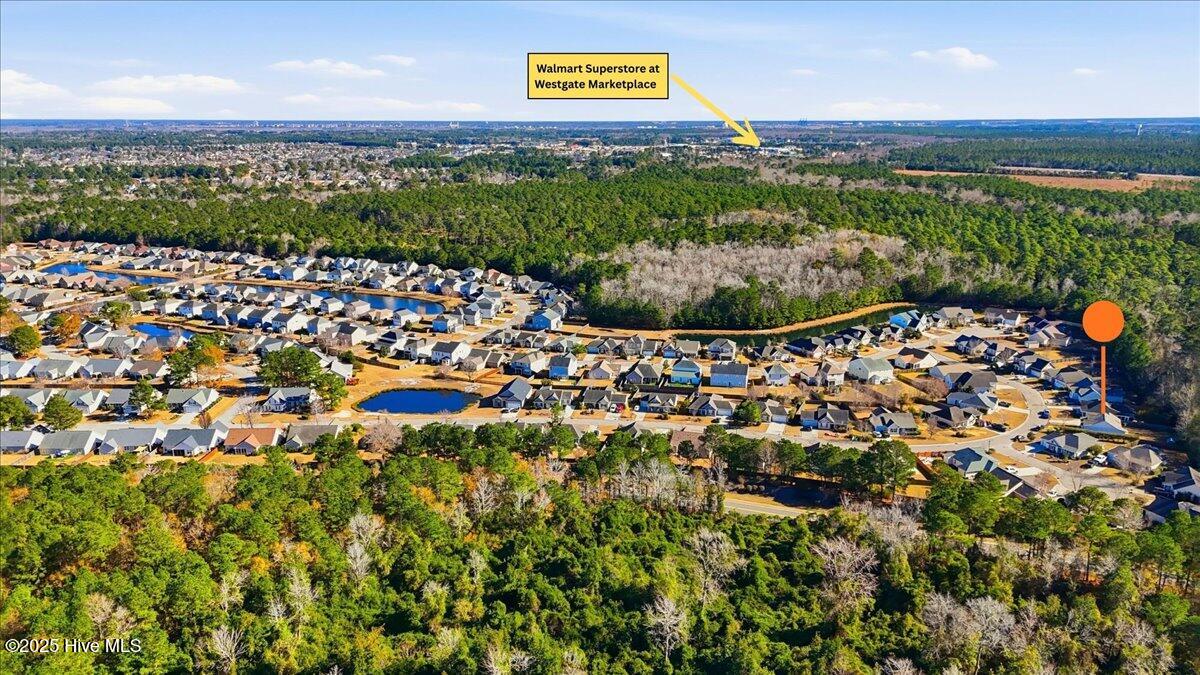 100546771 | Photo 42