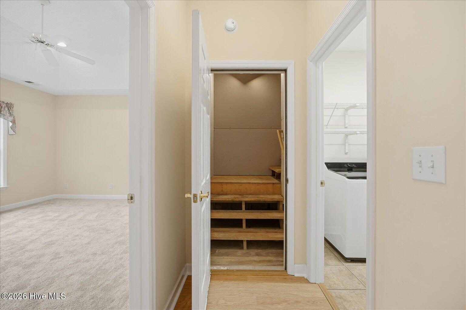 100553011 | Photo 41