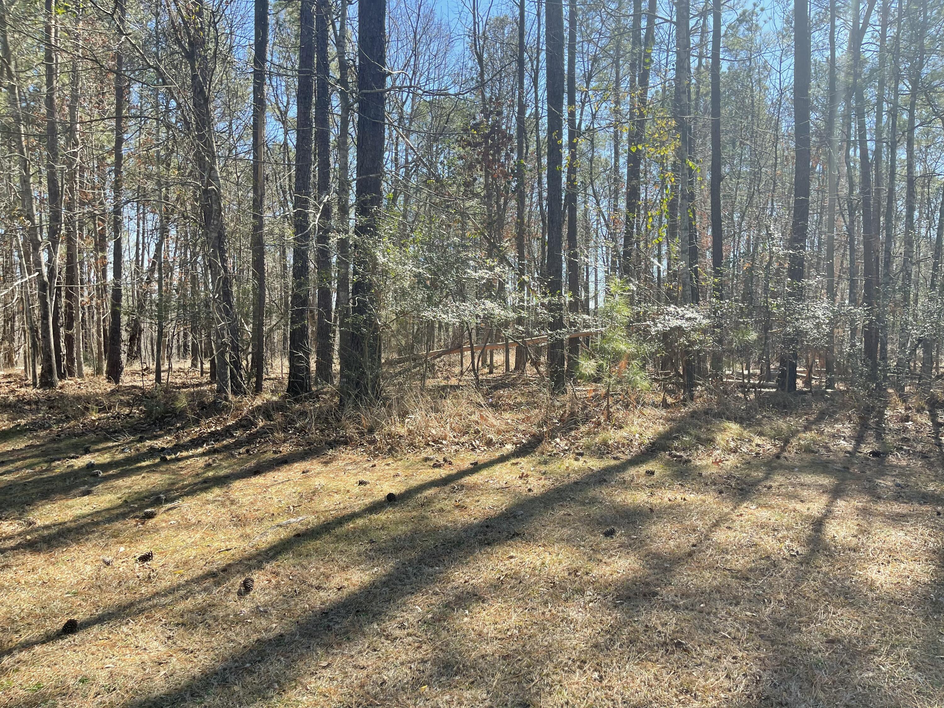 Lot M-46 Mary Johnson'S Court, North Augusta, SC, 29860