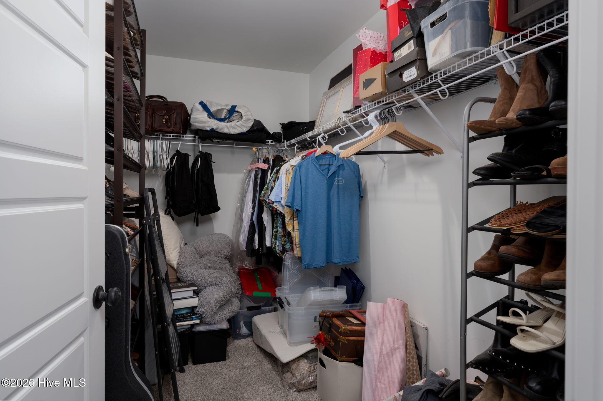 100555152 | Photo 33