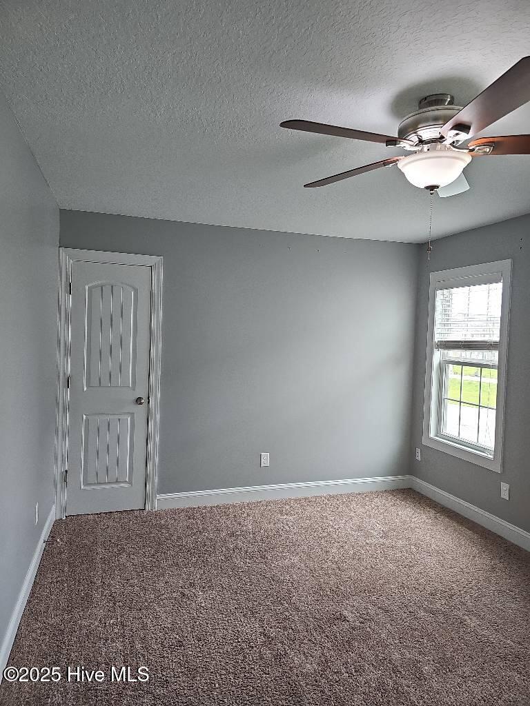 100538790 | Photo 13