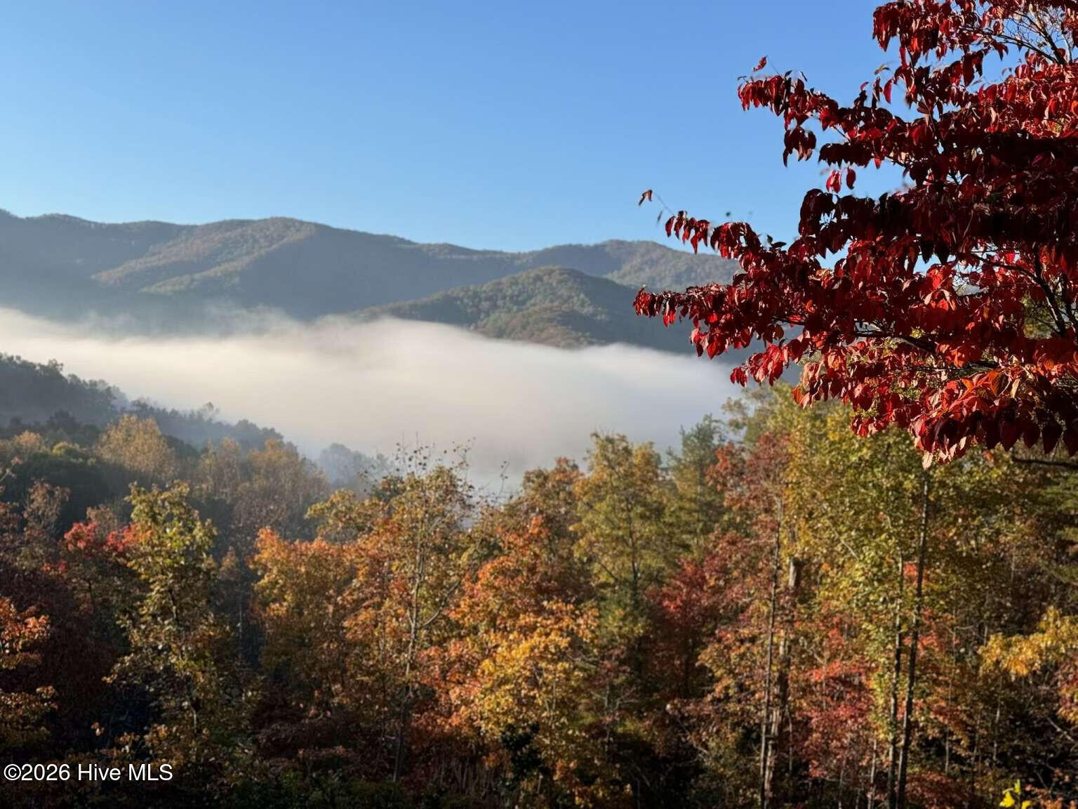 Photo 5 of Single family home for sale at 289 Bethabara Rd, Hayesville, NC 28904 | MLS# 100601383 | Listing updated on 2026-09-04