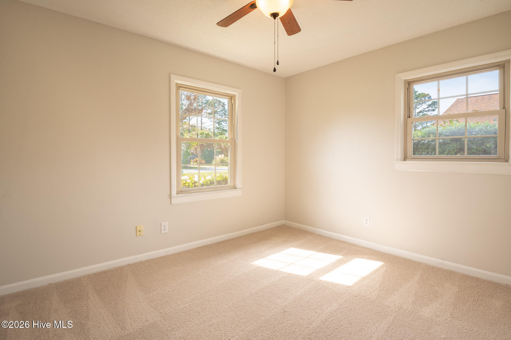 100563603 | Photo 11