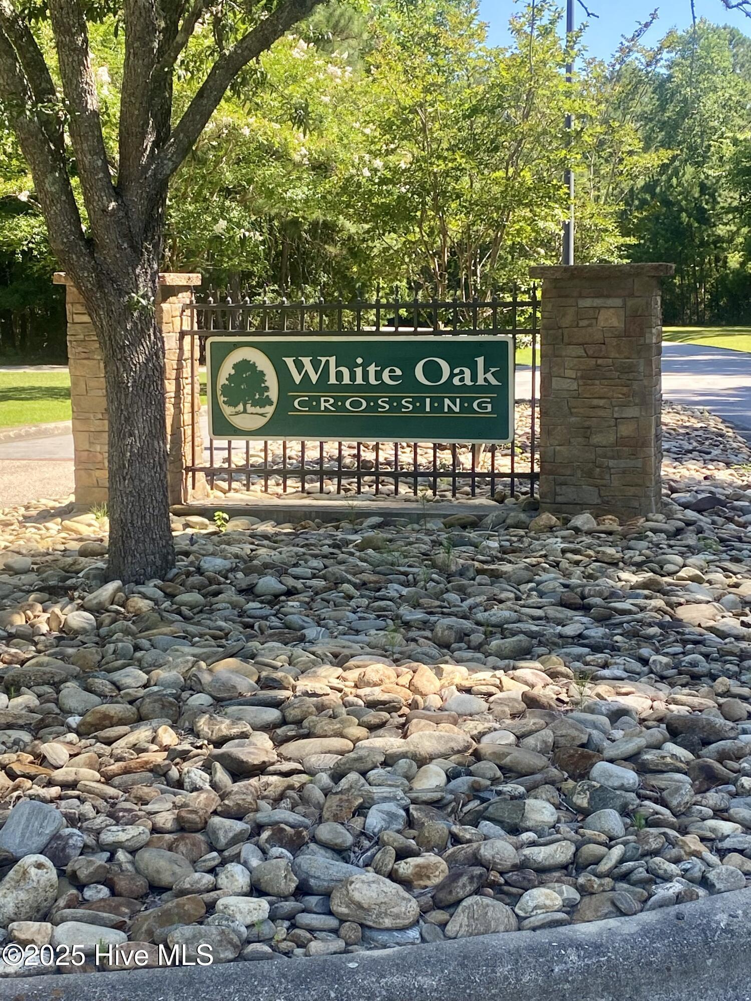 100516022 | Photo 75