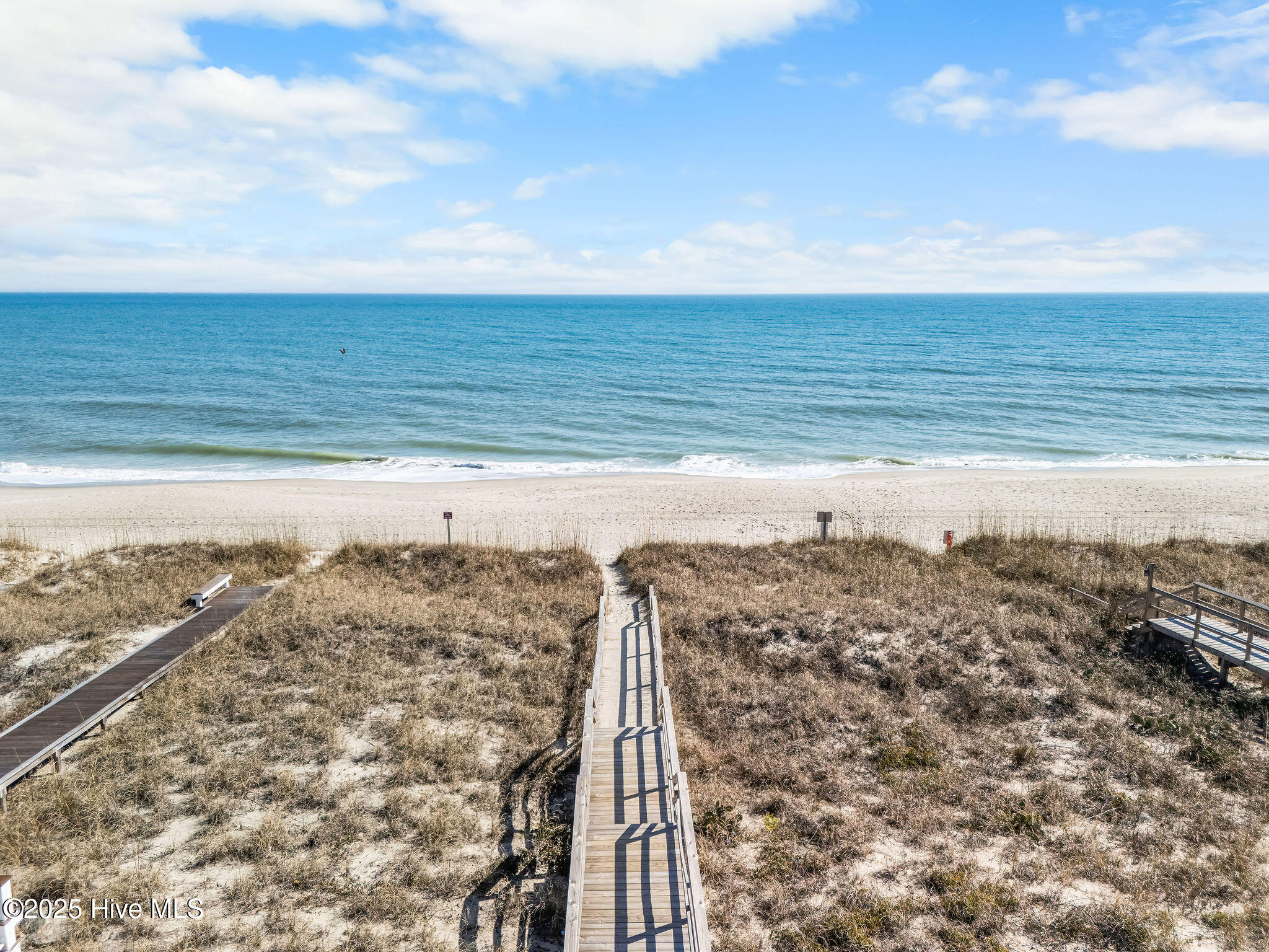 100510595 | Photo 42