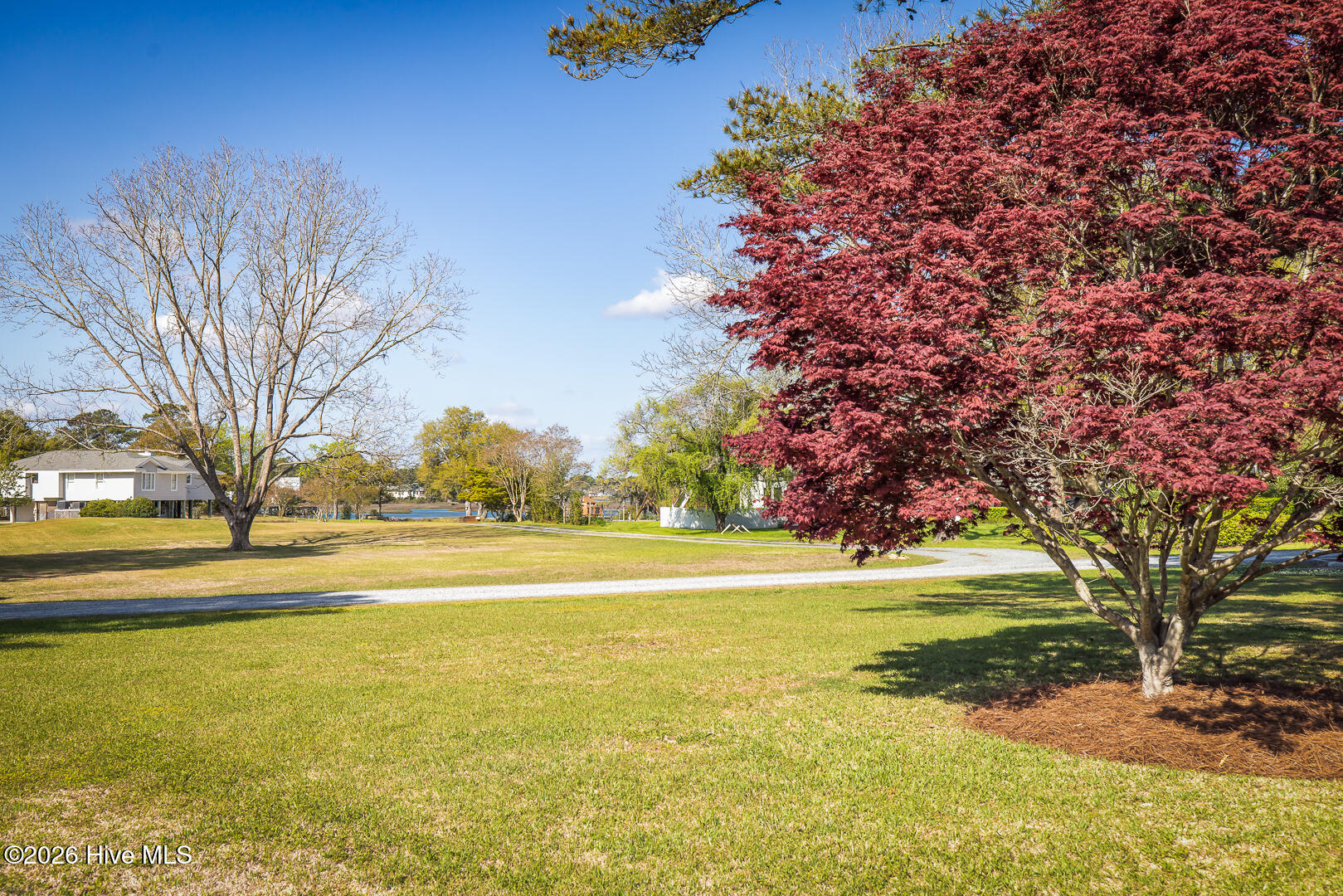 100570429 | Photo 53