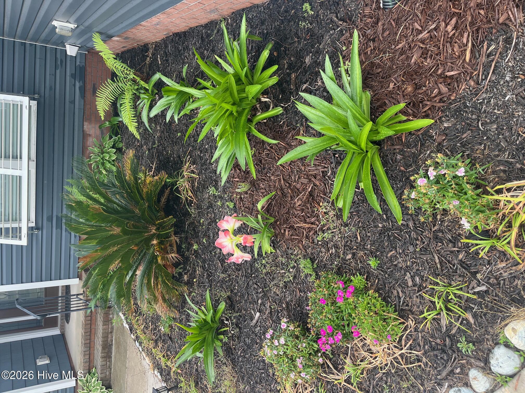 100557906 | Photo 31