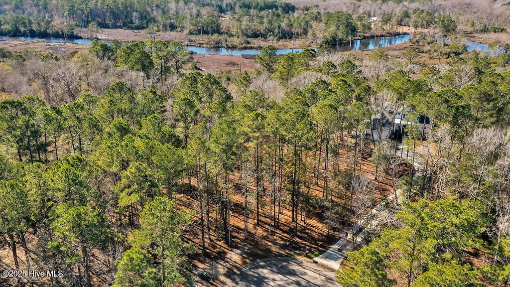 100482094 | Photo 21