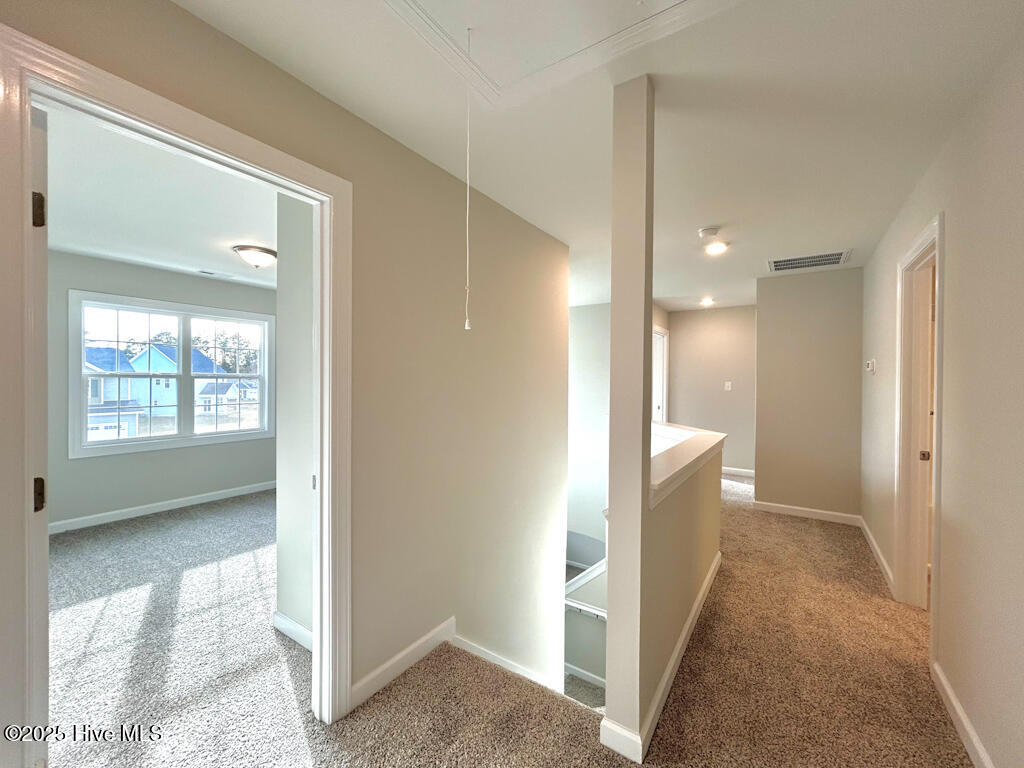 100522198 | Photo 36