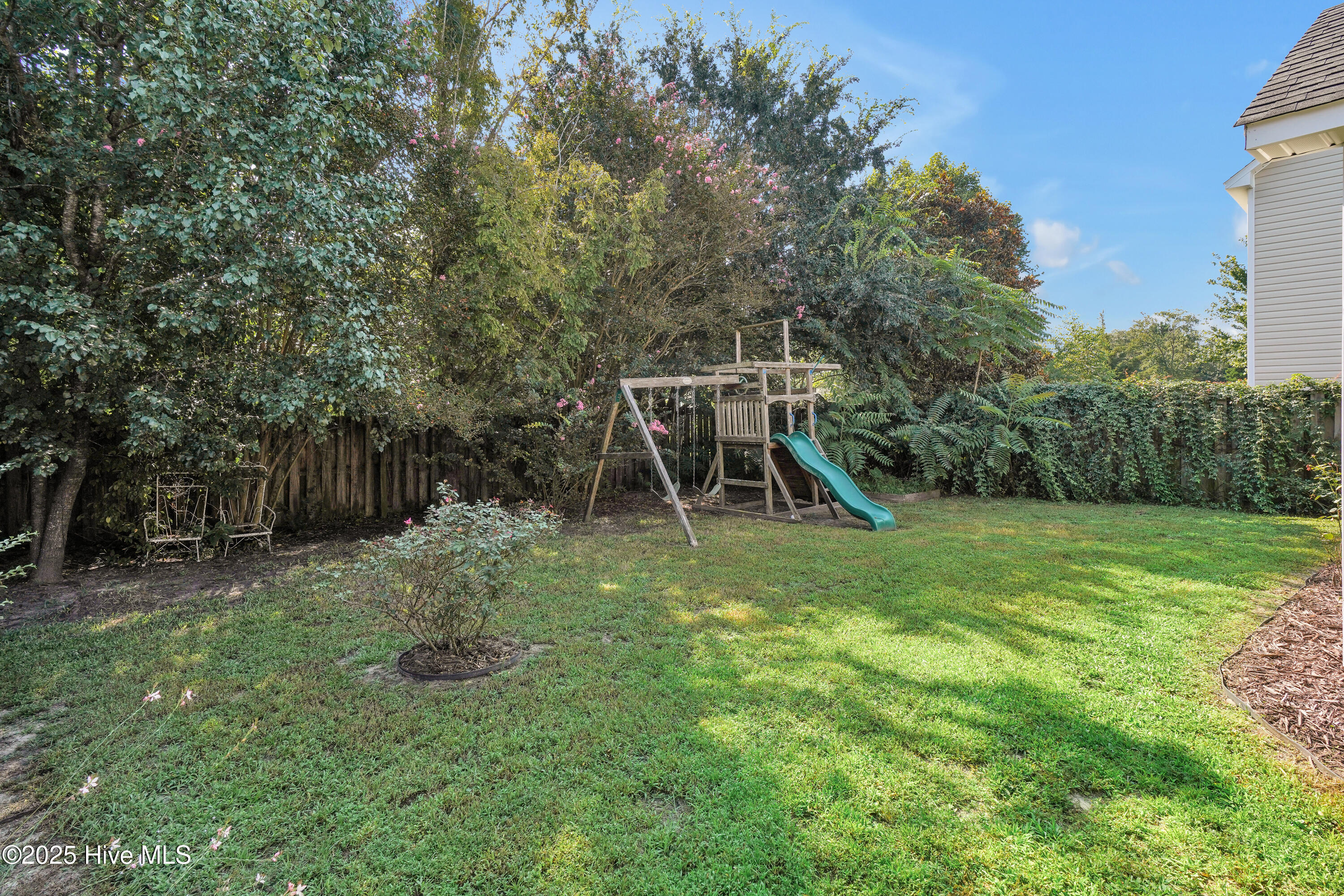 100525985 | Photo 28