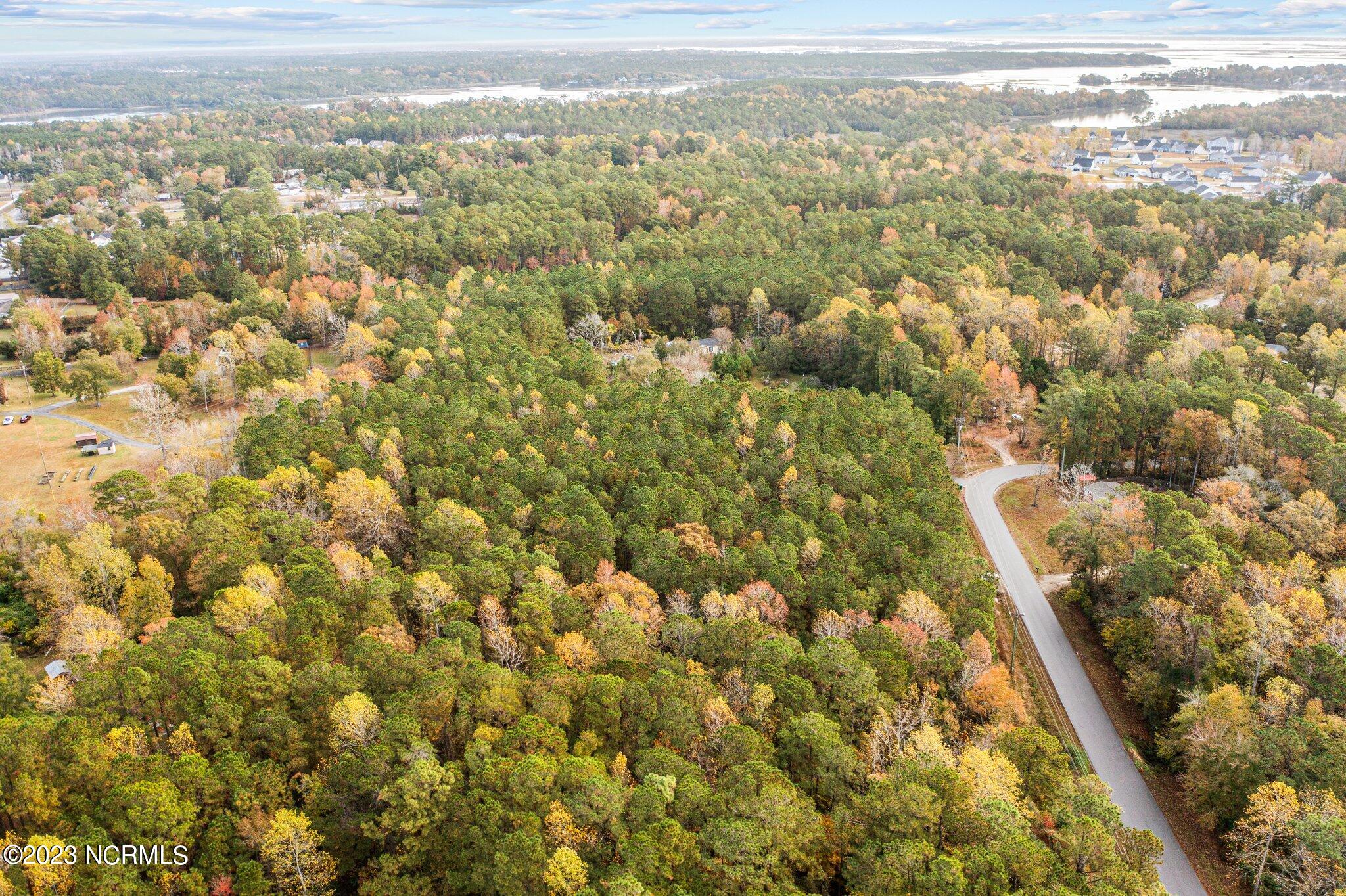 100415479 | Photo 12