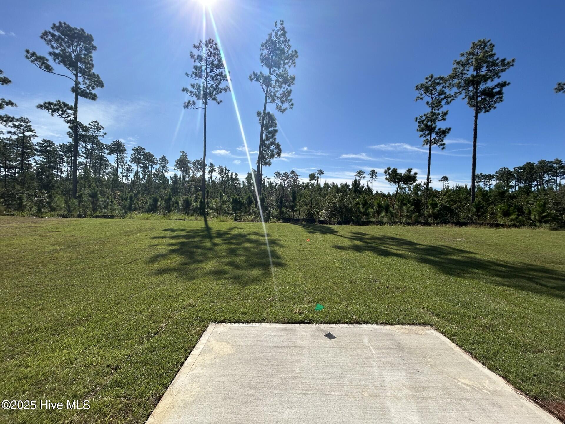 100513181 | Photo 23