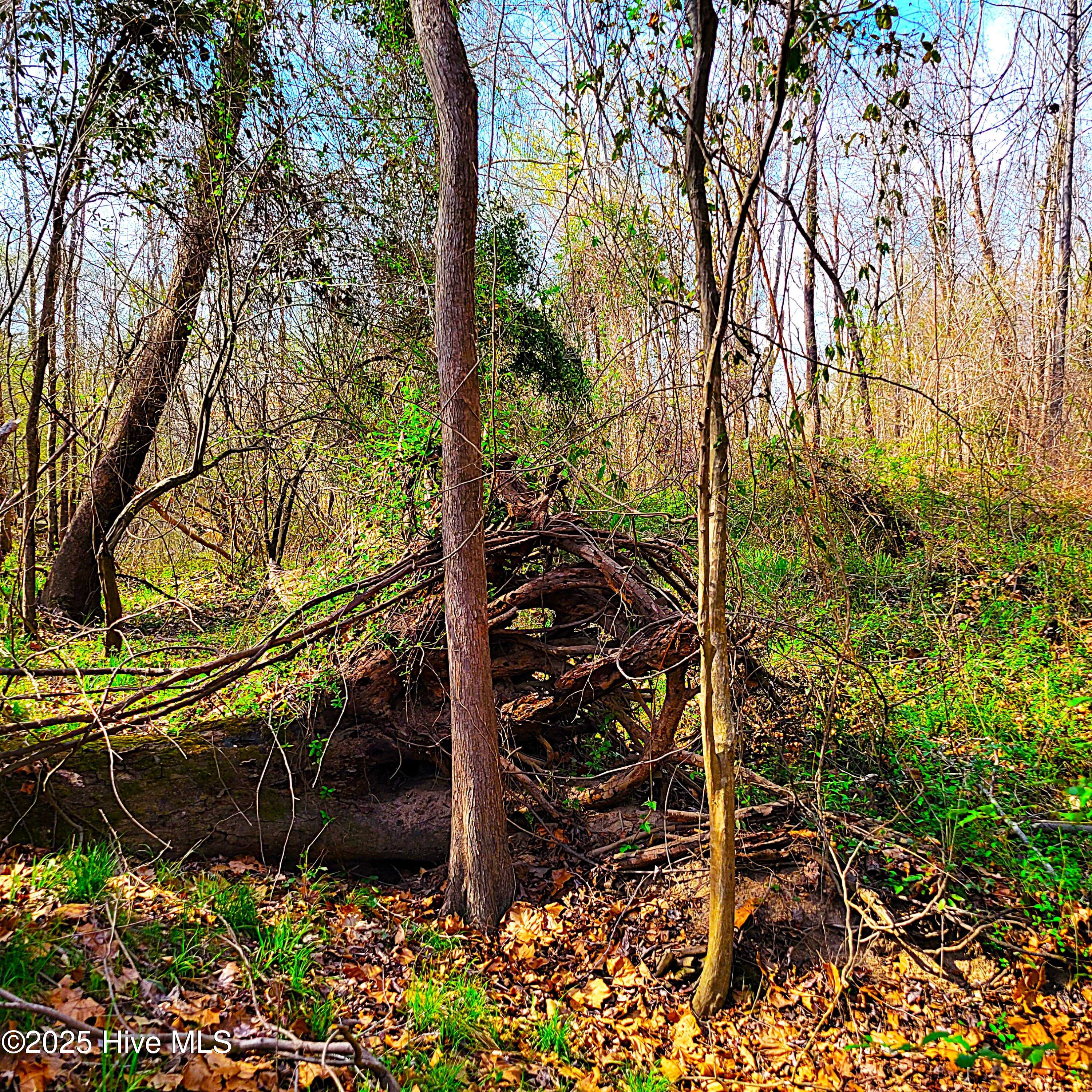 100496184 | Photo 29