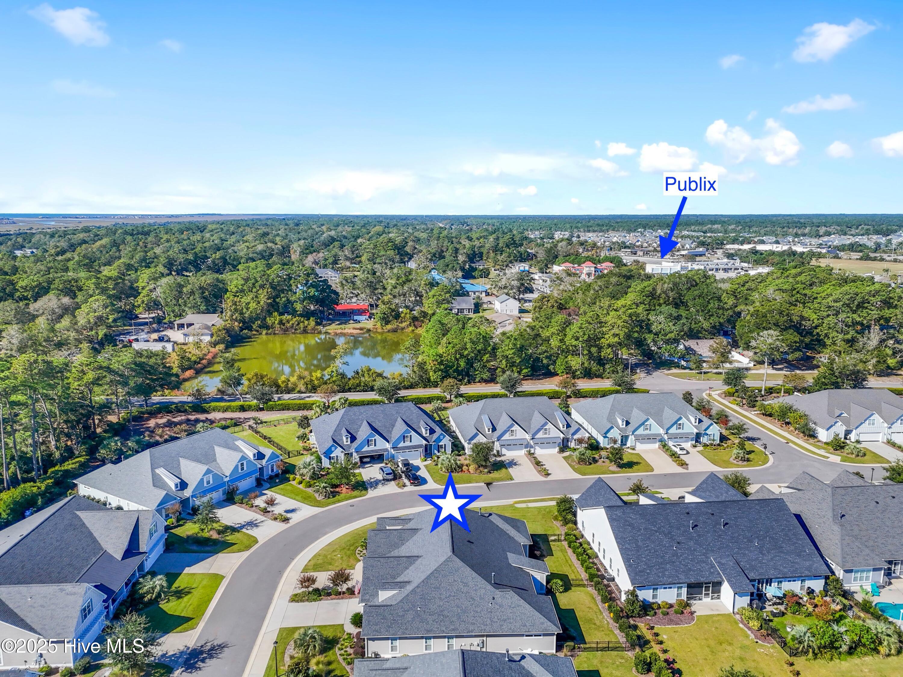 100537733 | Photo 10