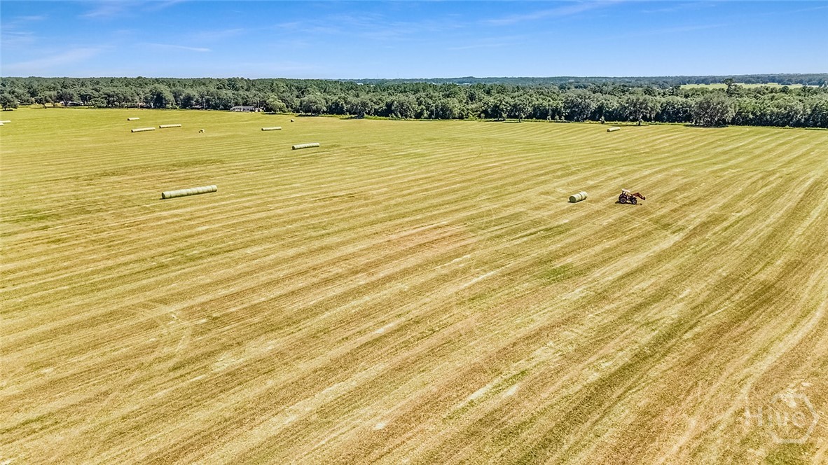 1110 W US Hwy 280, Reidsville, GA, 30453