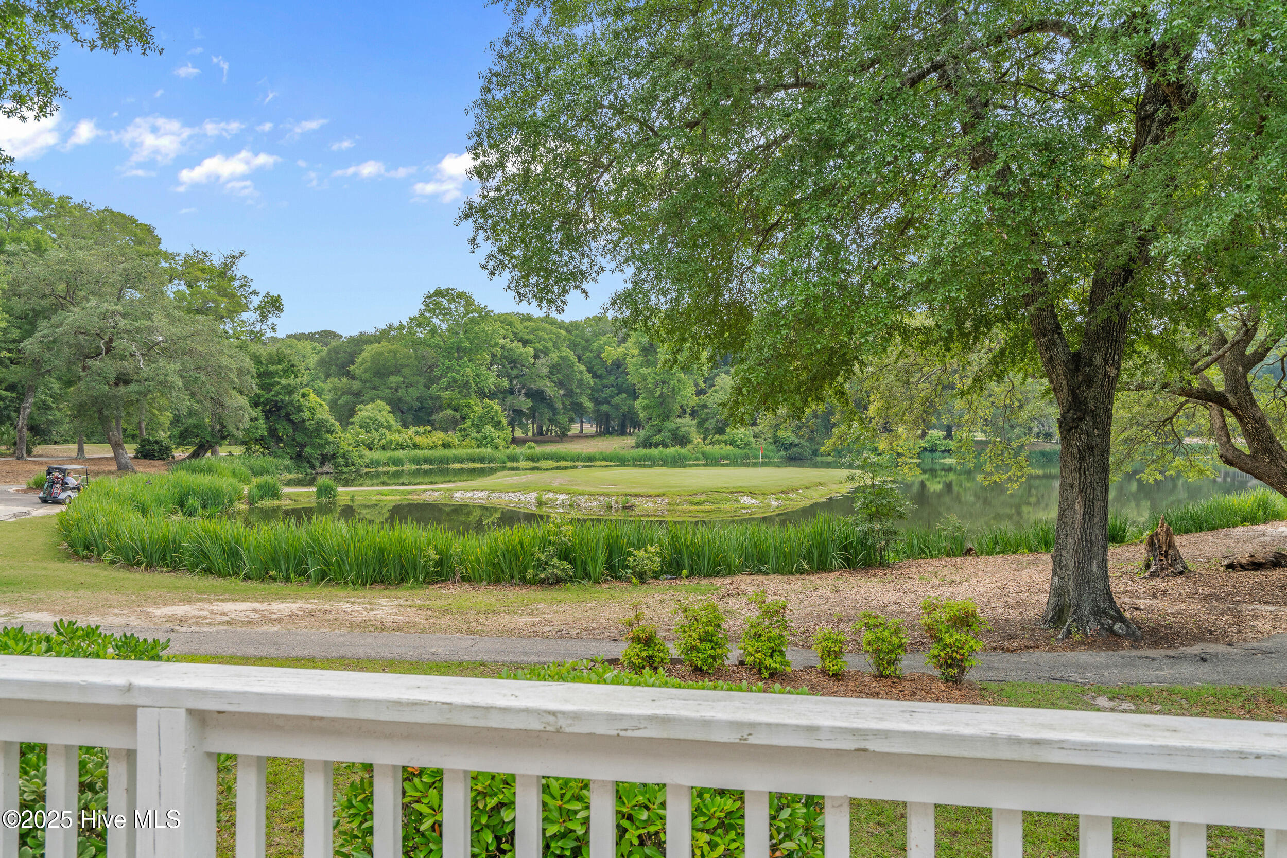 100508973 | Photo 25