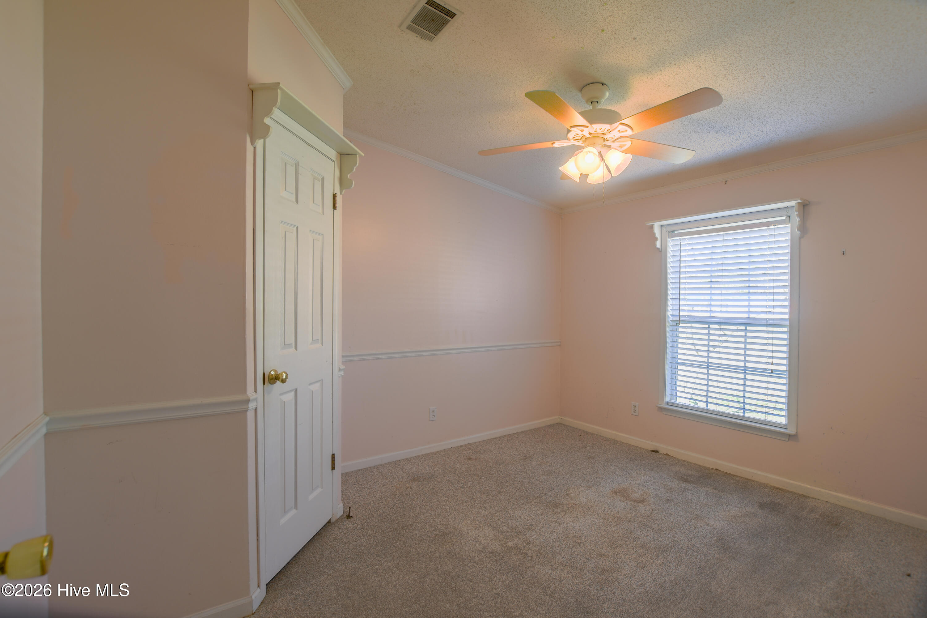 100559340 | Photo 11