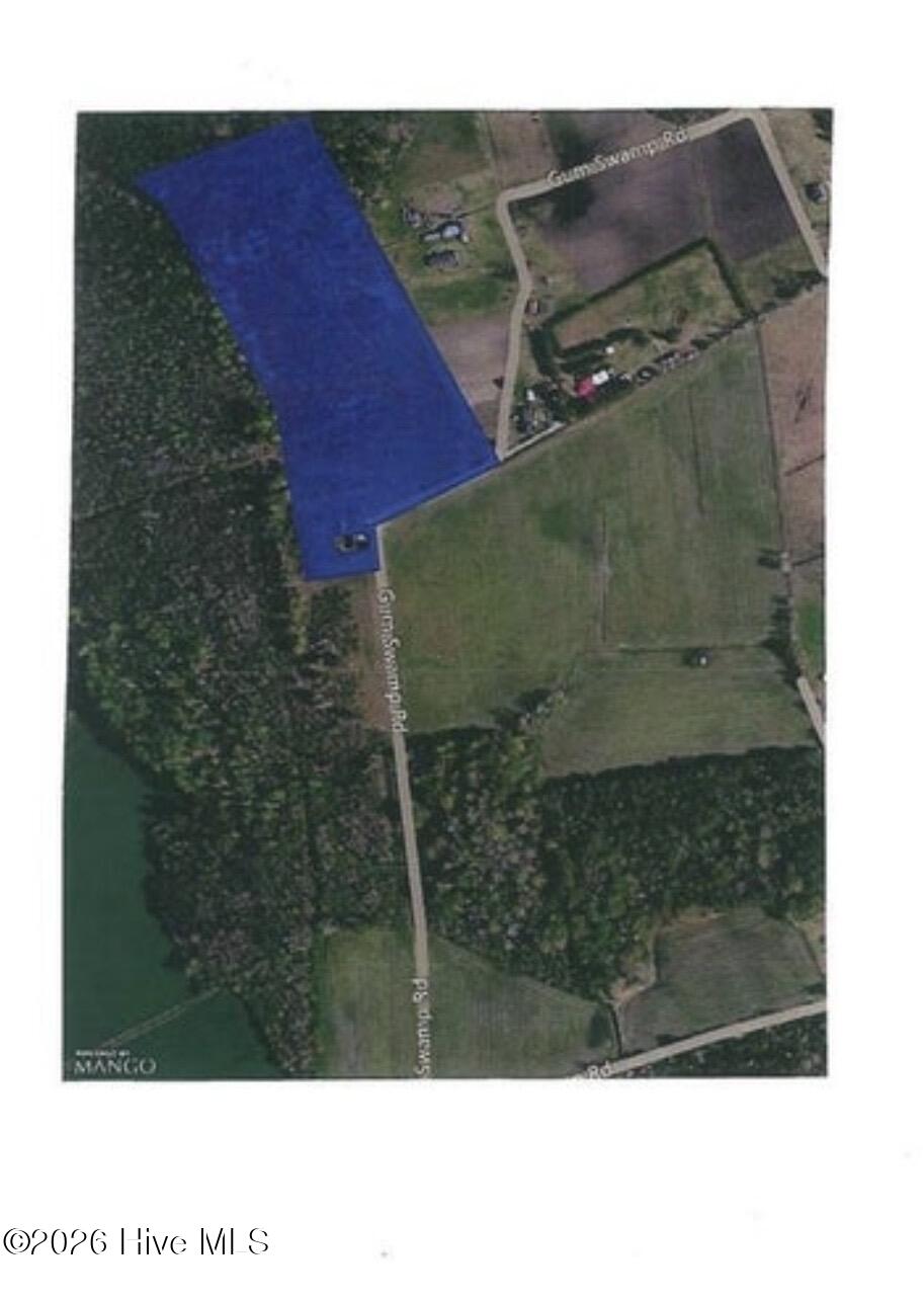 331 Gum Swamp RD (ariel photo2).png