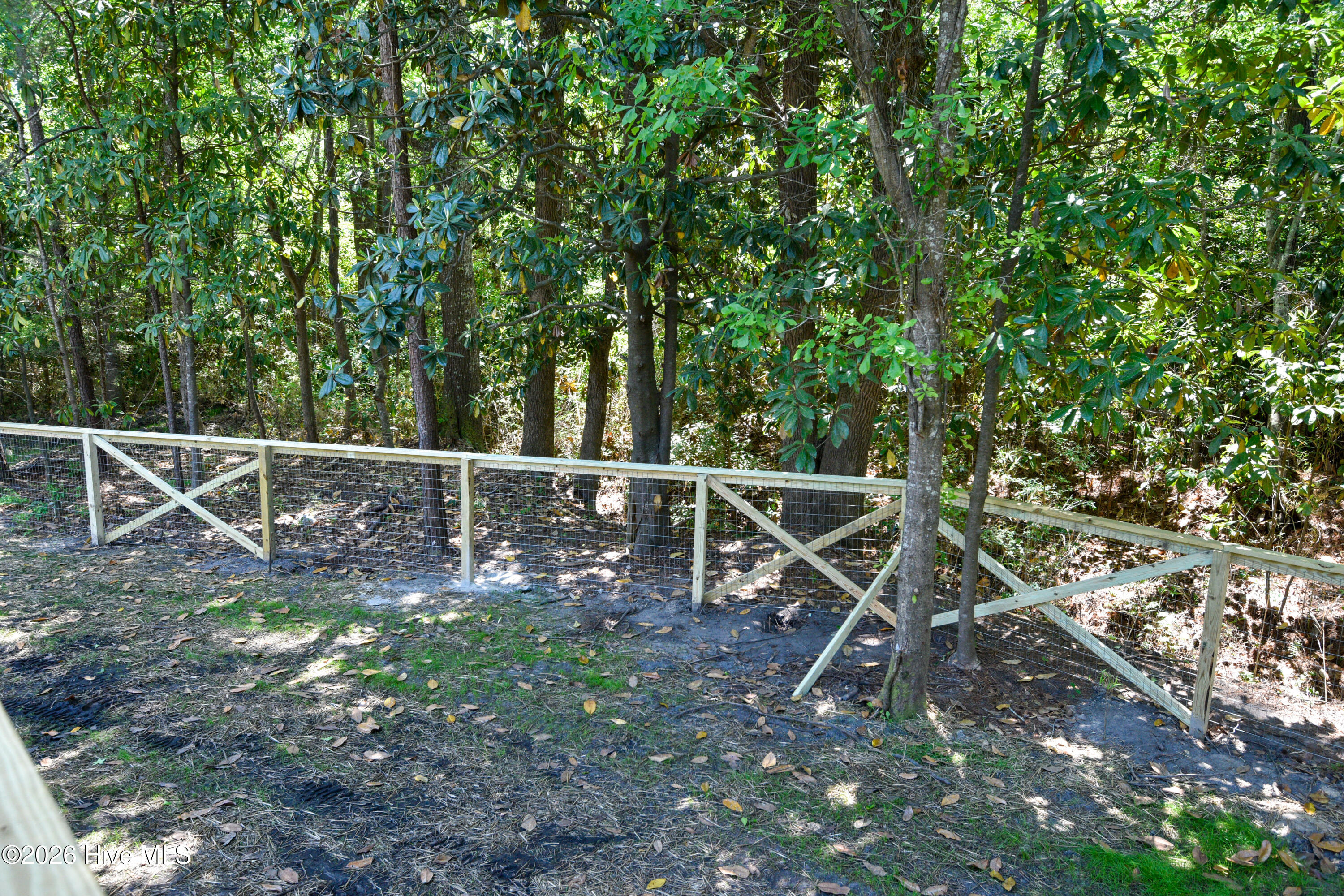 100569320 | Photo 72