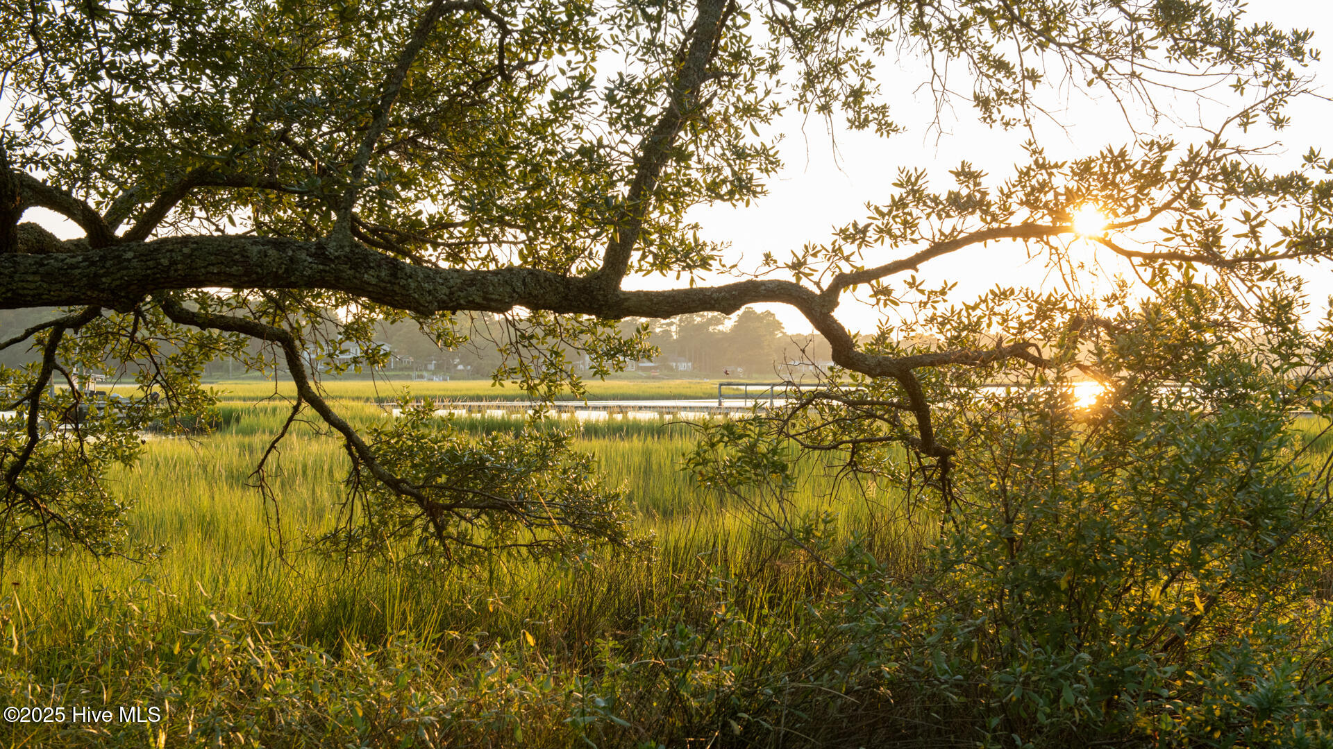 100535774 | Photo 10