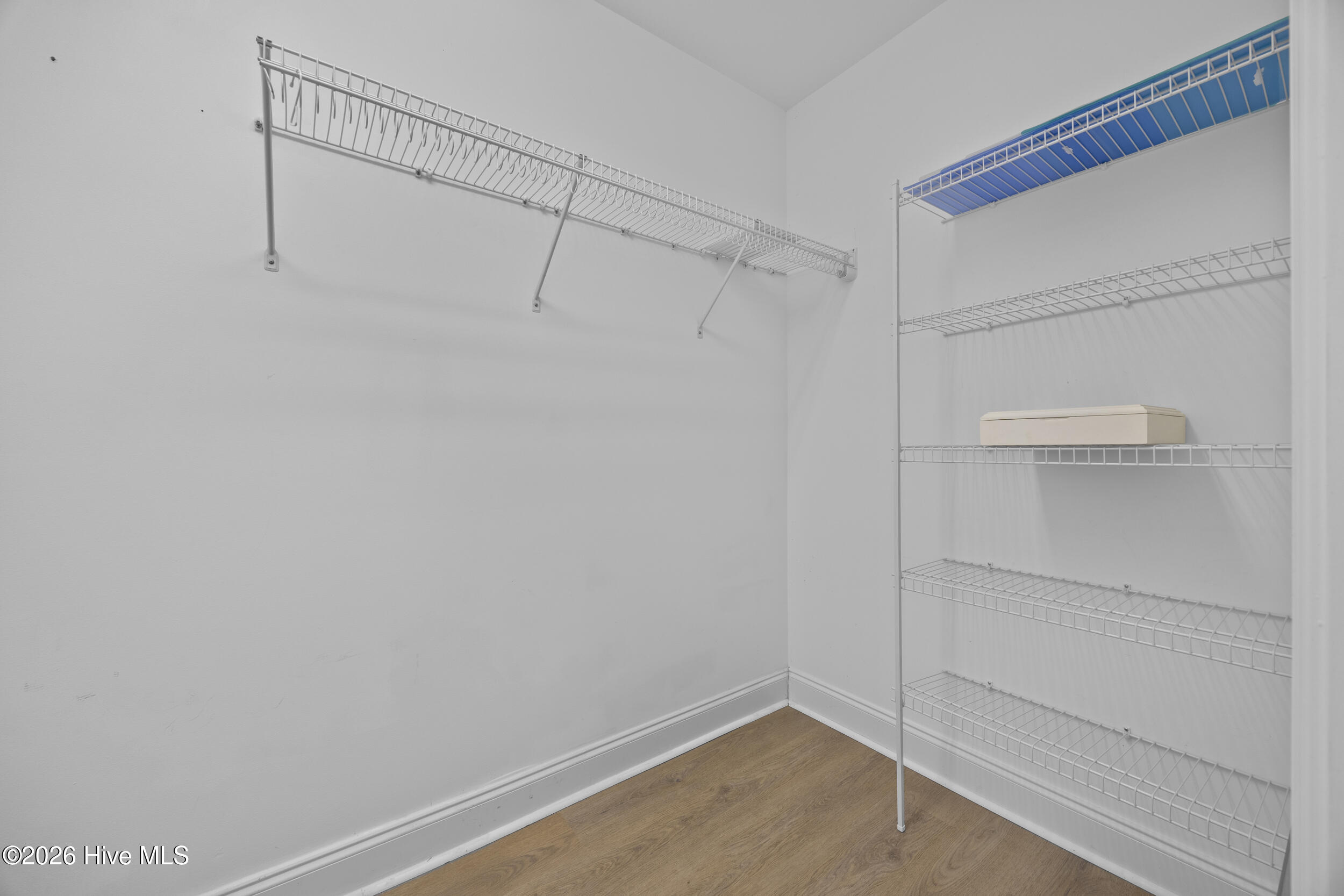 100555445 | Photo 28