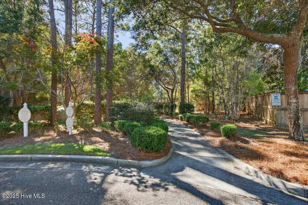 100535369 | Photo 50