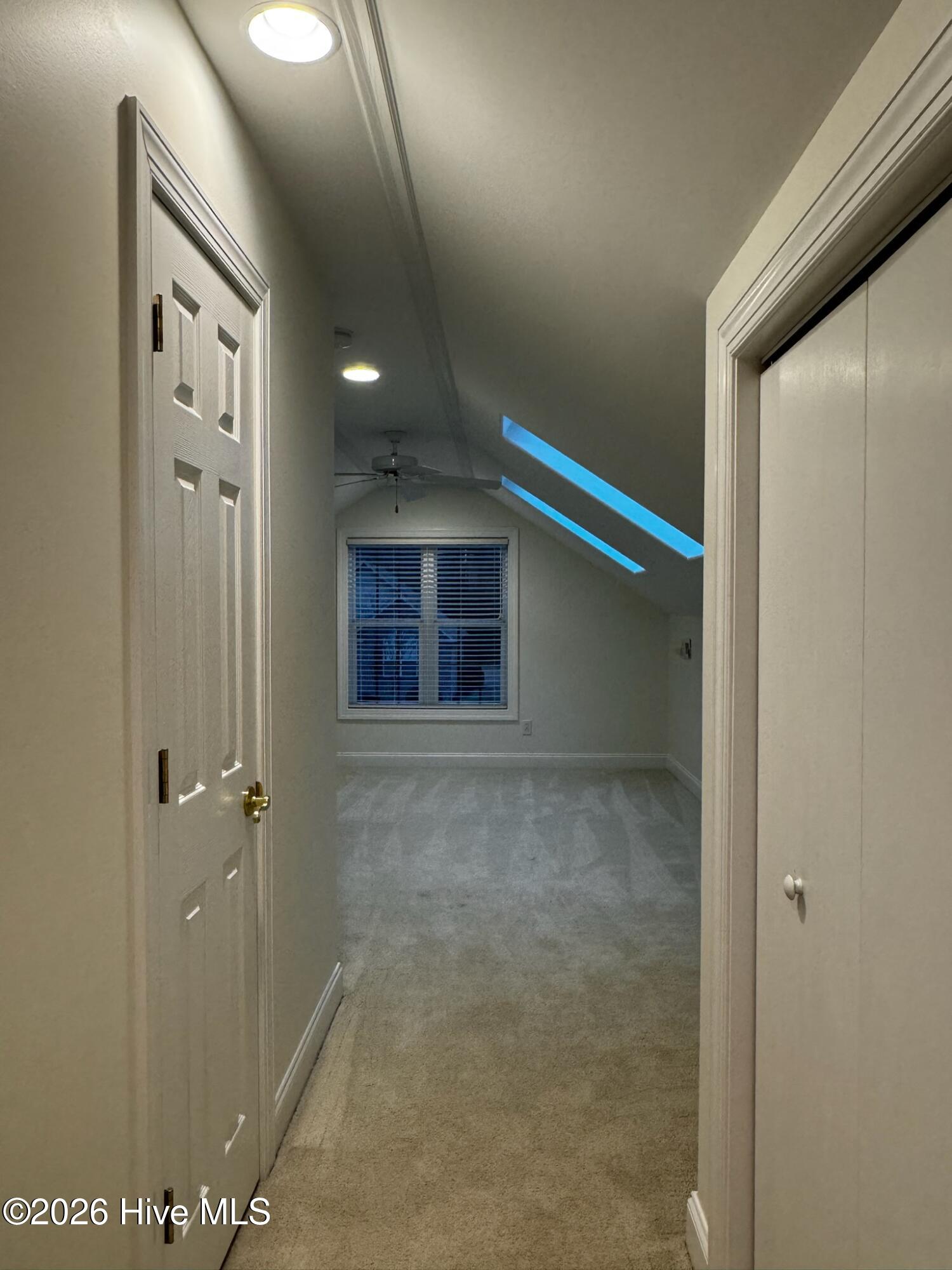 100558874 | Photo 32