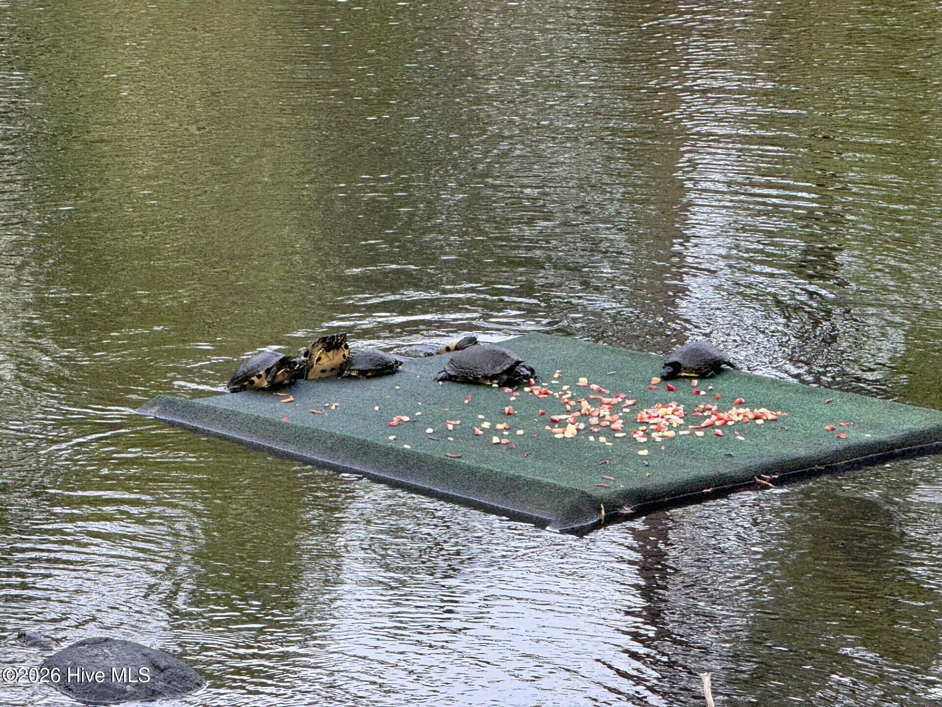 100567366 | Photo 47