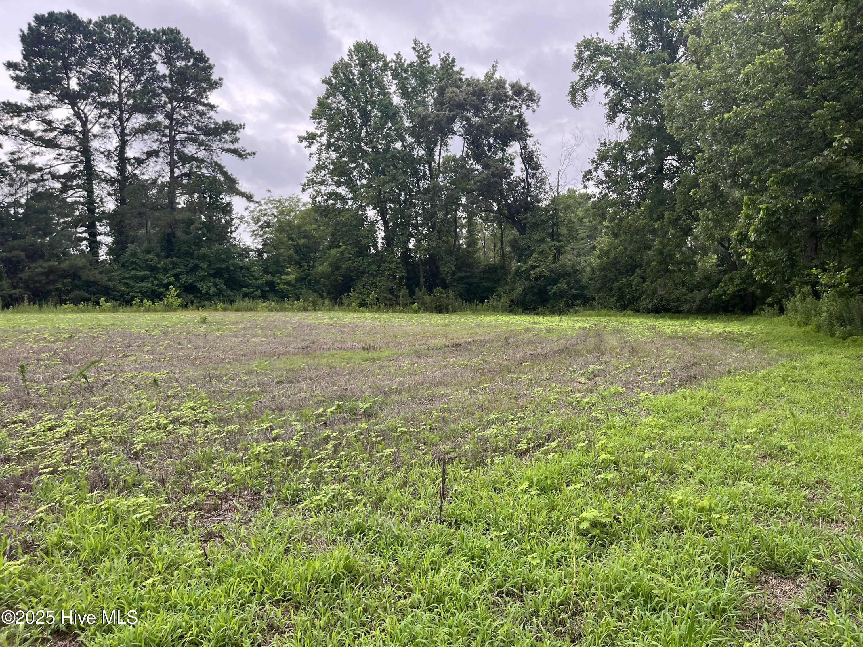 3508 Sheep Pasture Road, Spring Hope, NC, 27882