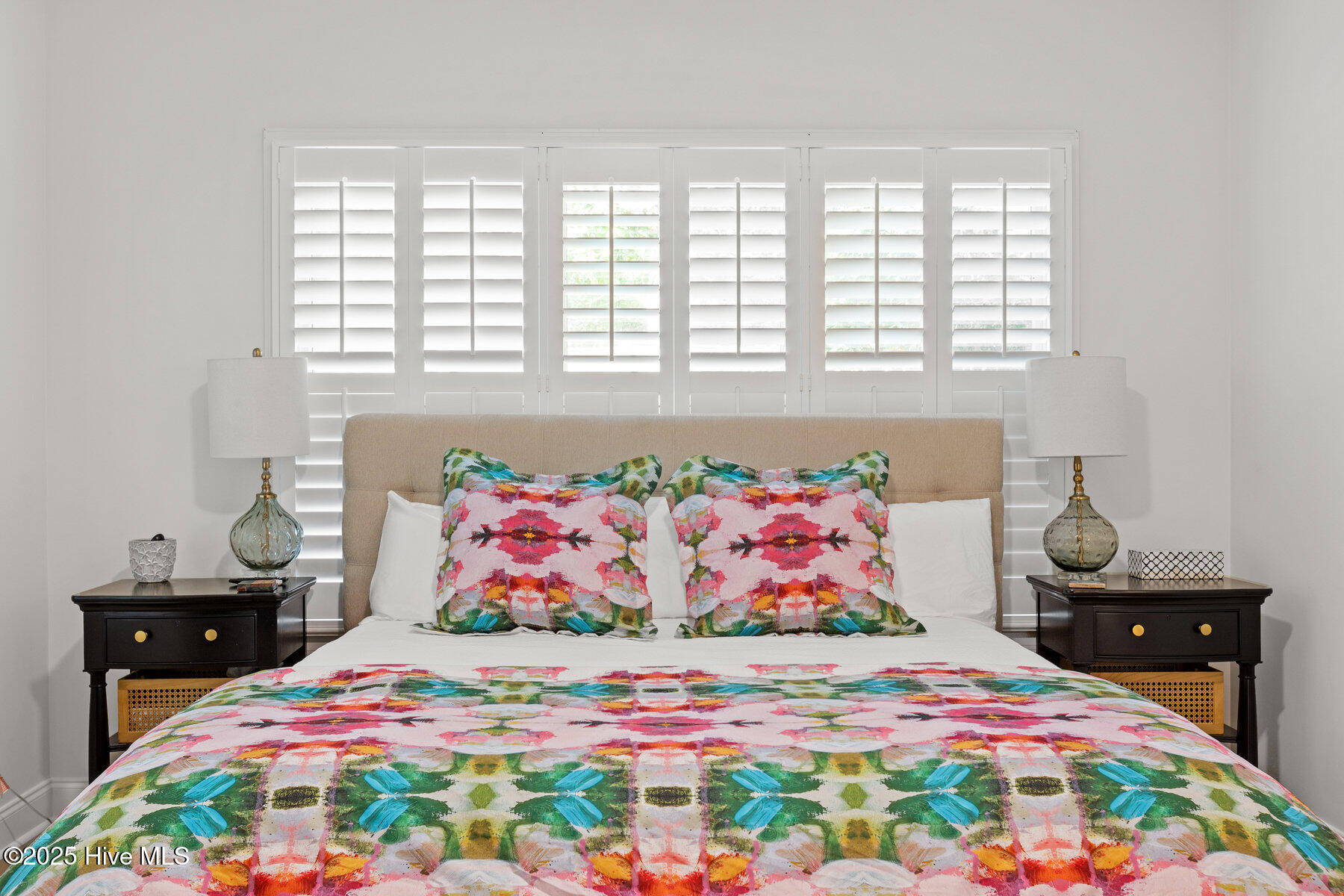 100534809 | Photo 14