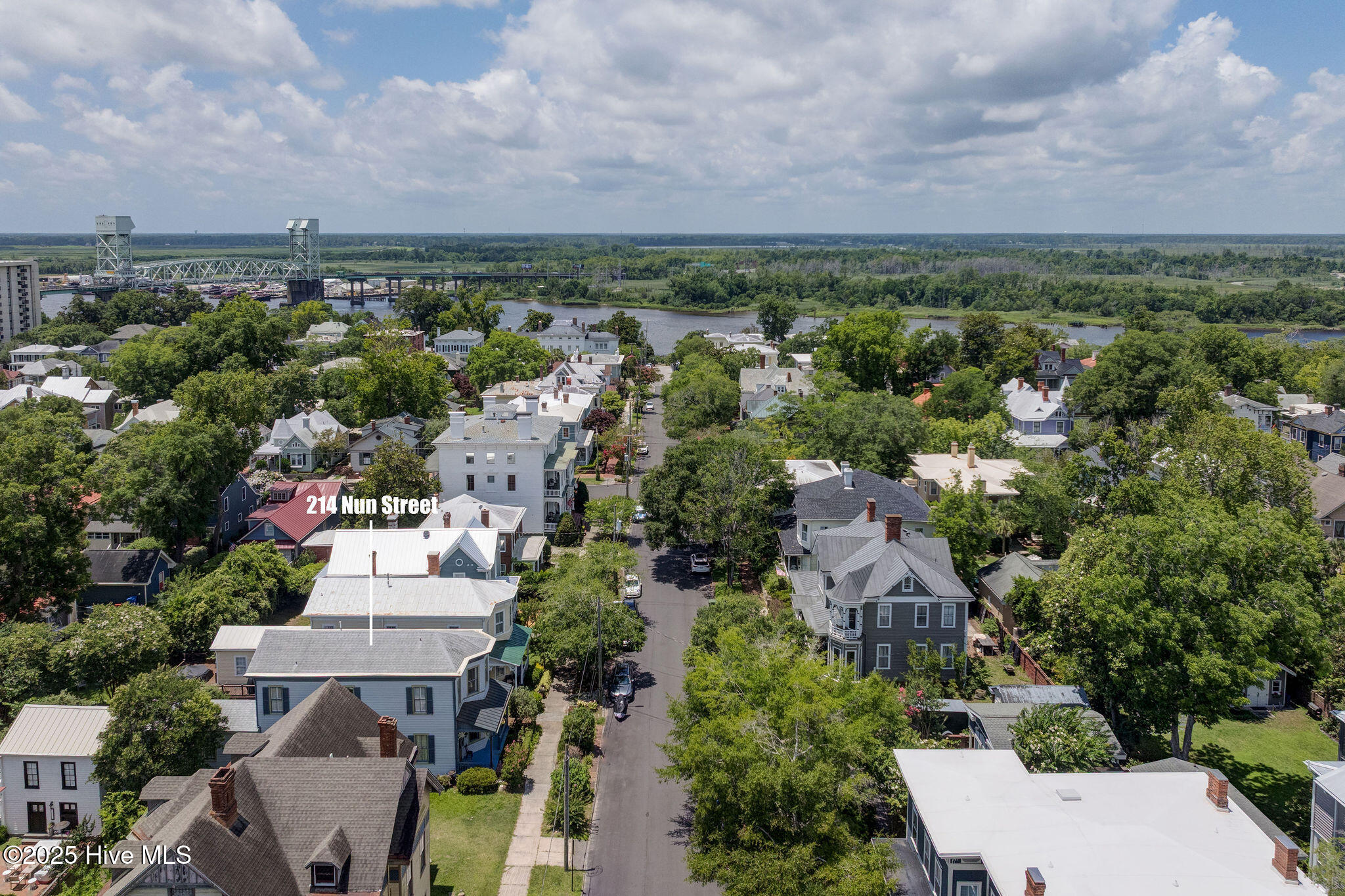 100515844 | Photo 49