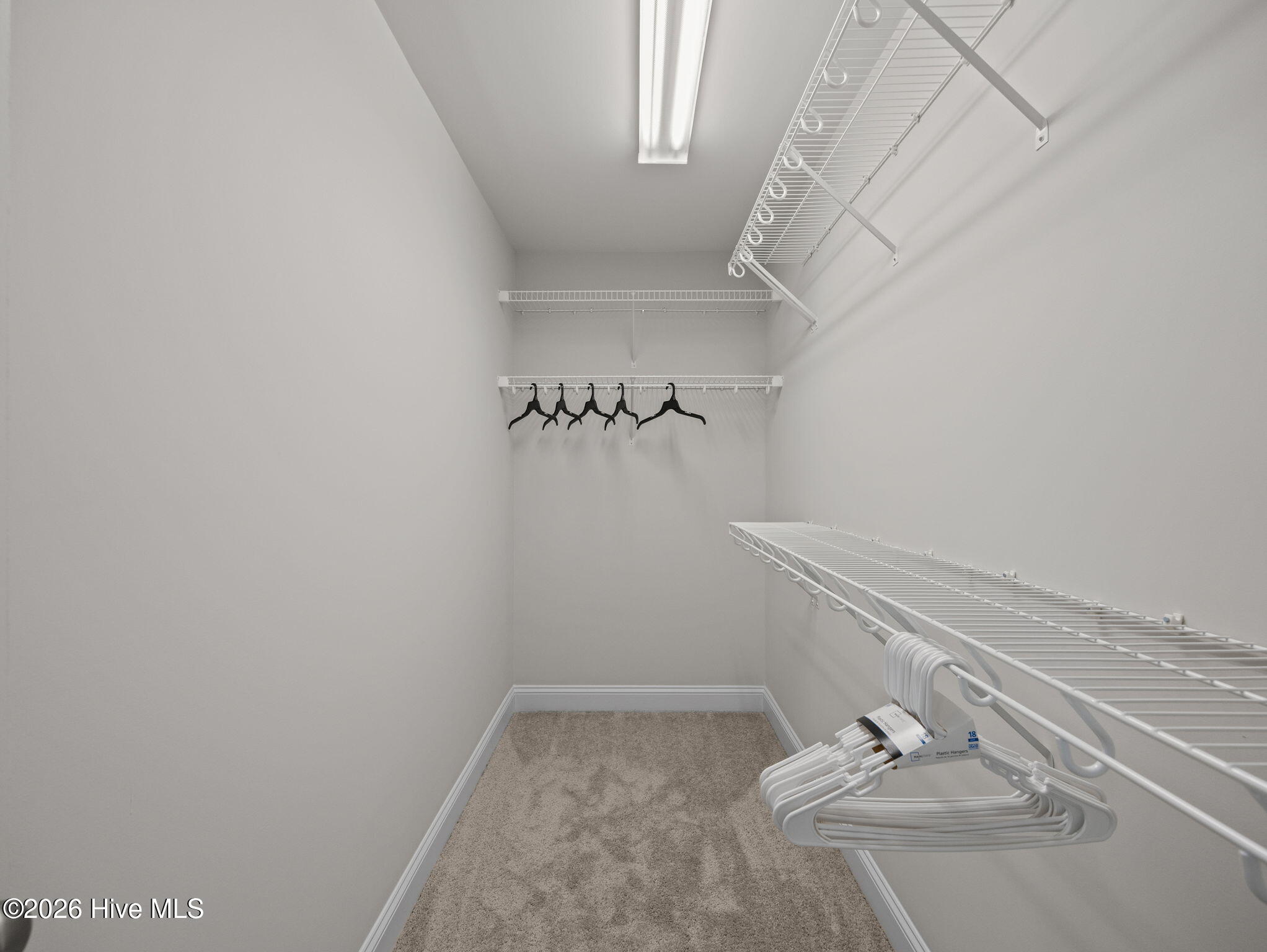 100563738 | Photo 29