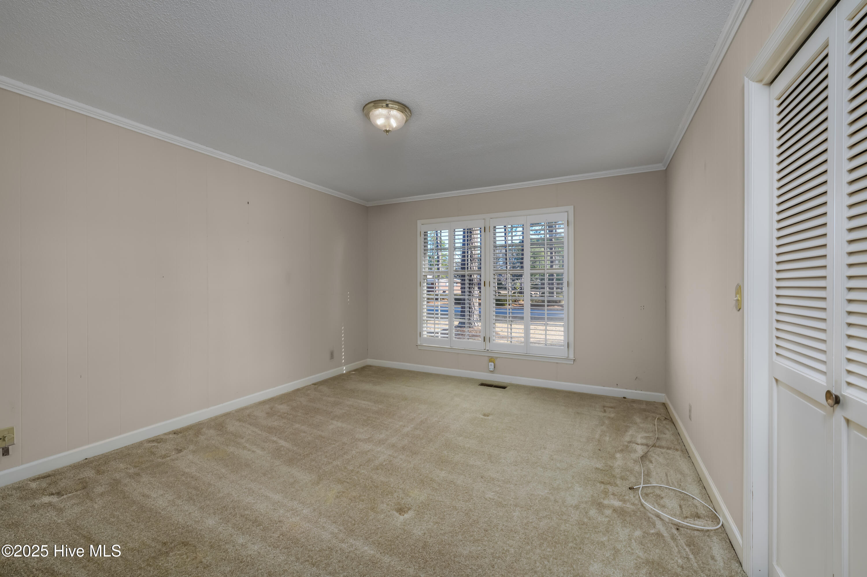 100484666 | Photo 13