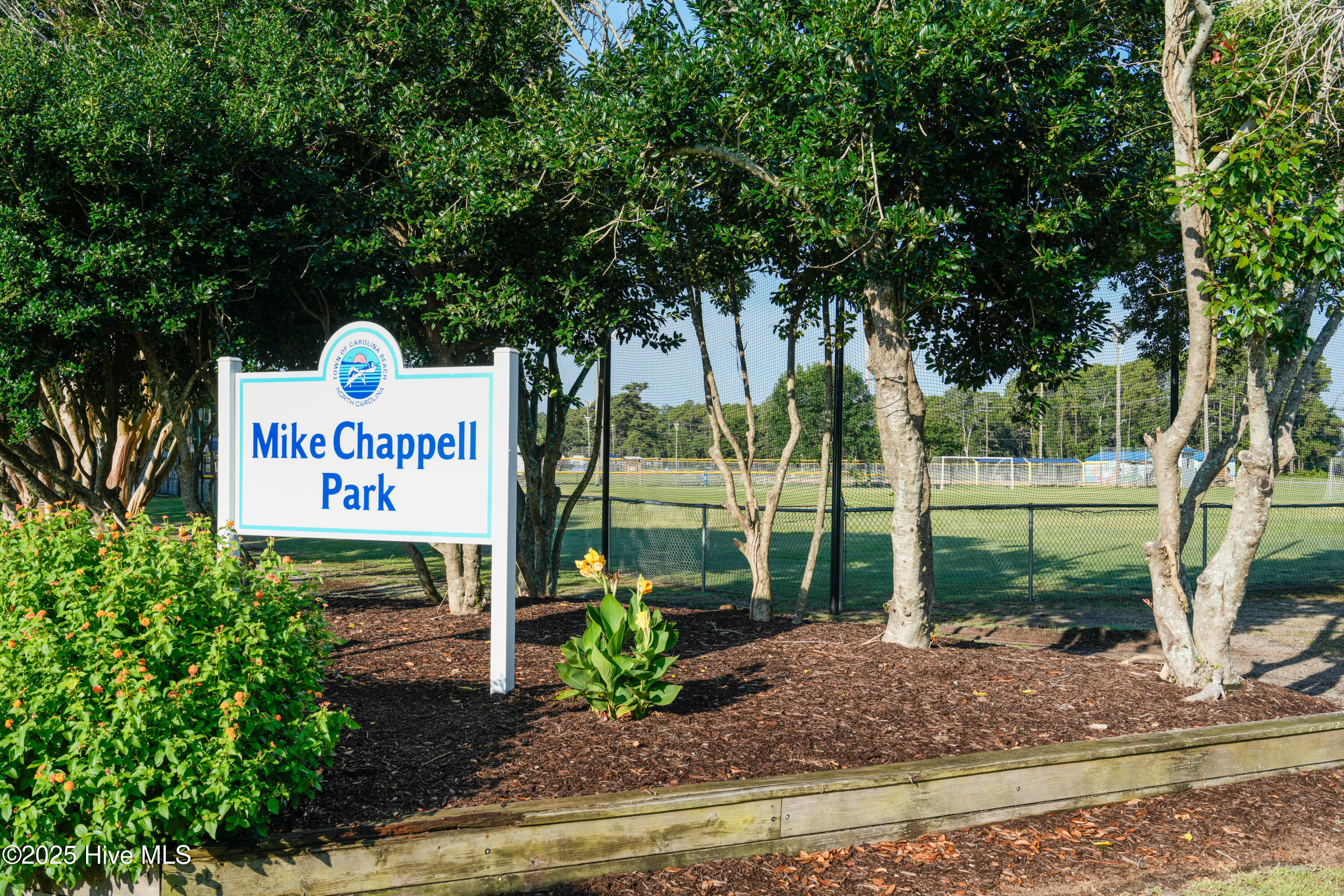 100494864 | Photo 48