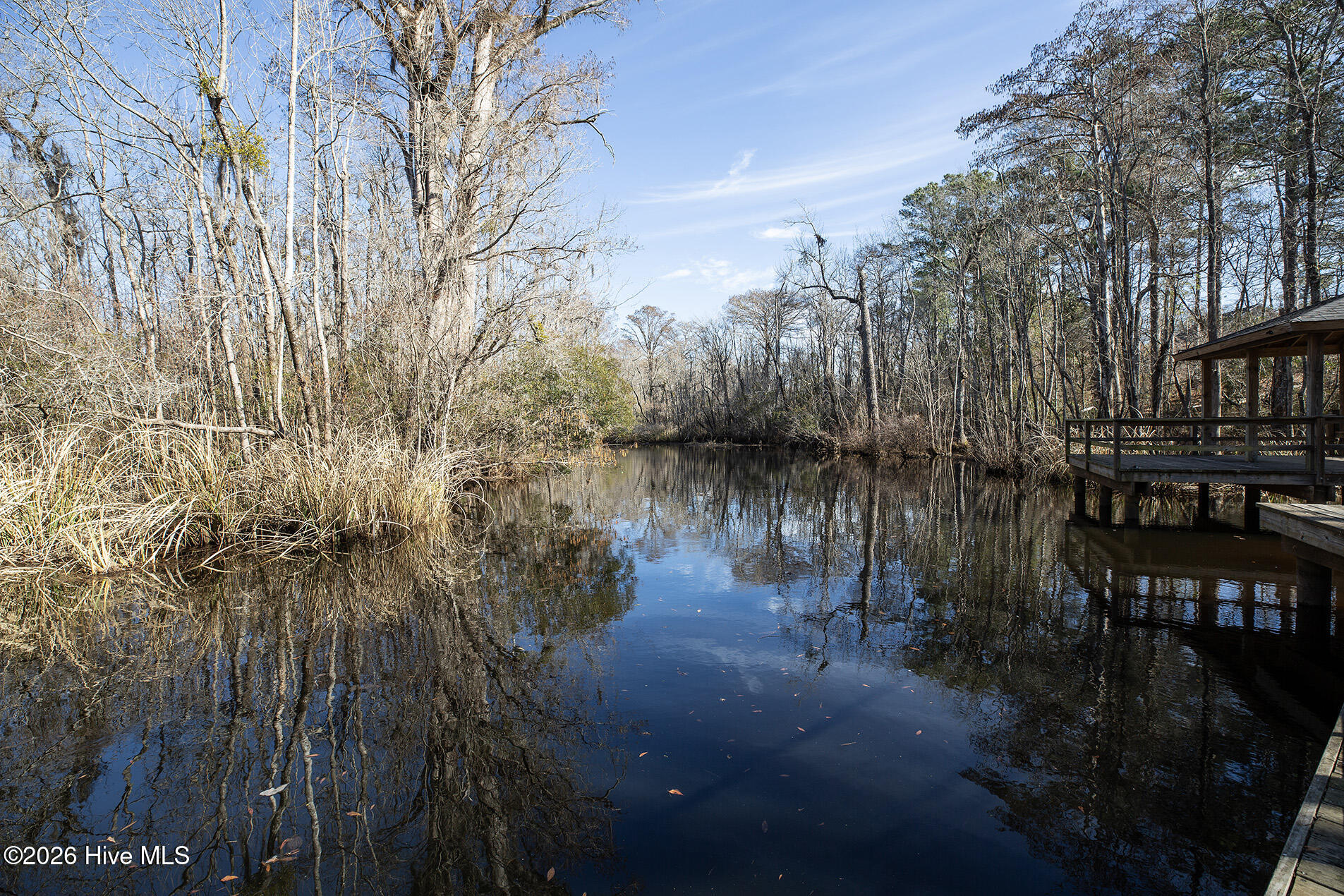 100550596 | Photo 55