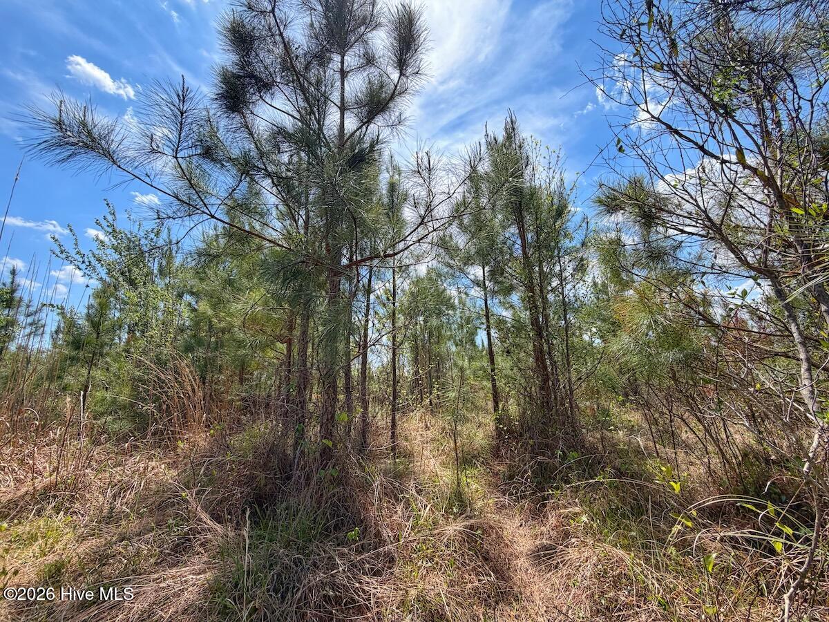 0 Guinea Mill Road, Ernul, NC, 28527